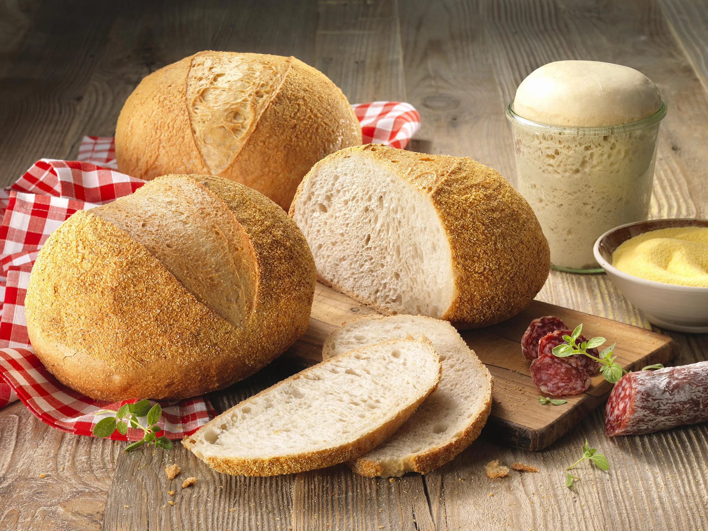 Lievito Madre - Masa fermentada de trigo seca en polvo con fuerte fuerza motriz de 500 g Foozia