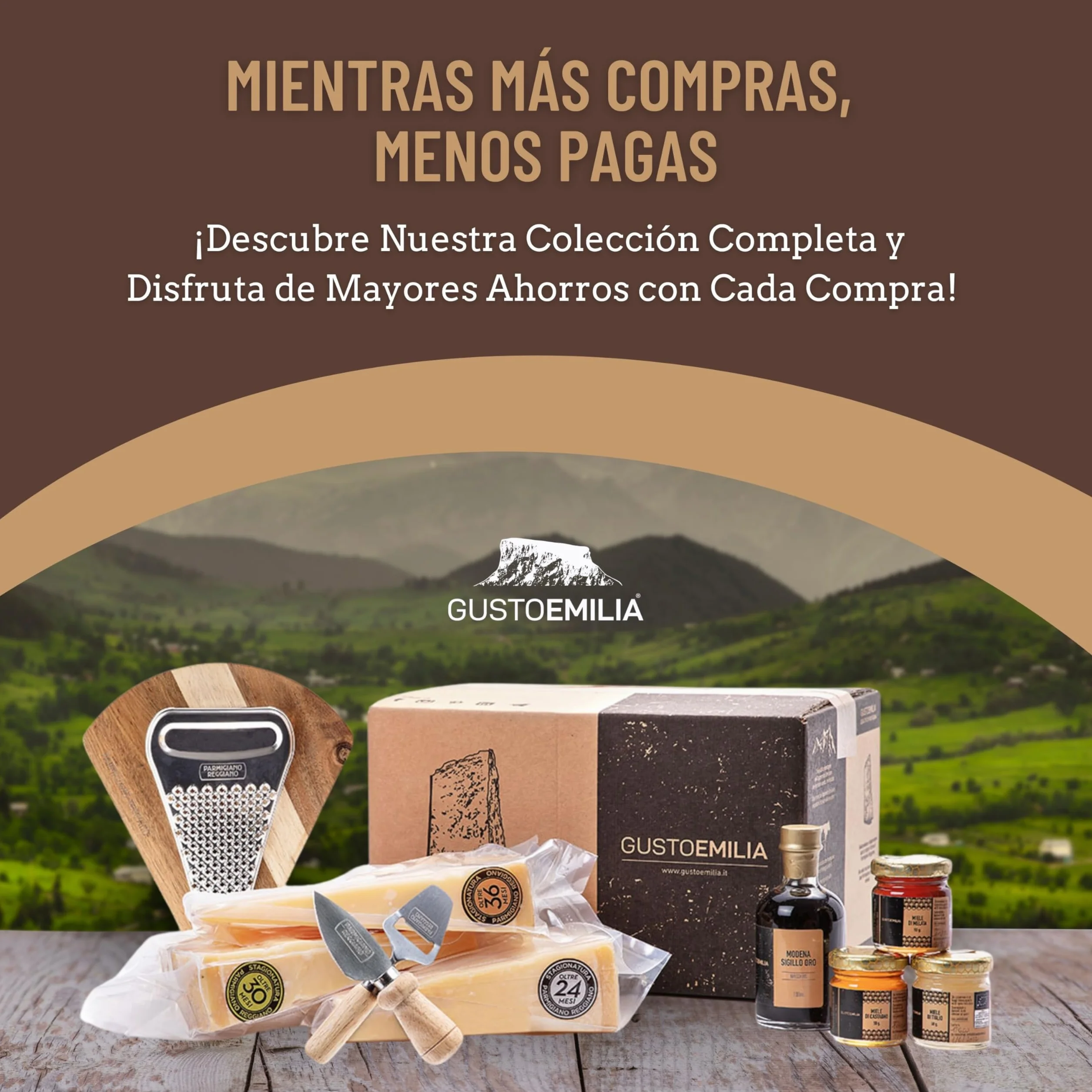 Parmigiano Reggiano 48 Meses de Maduración 1 kg