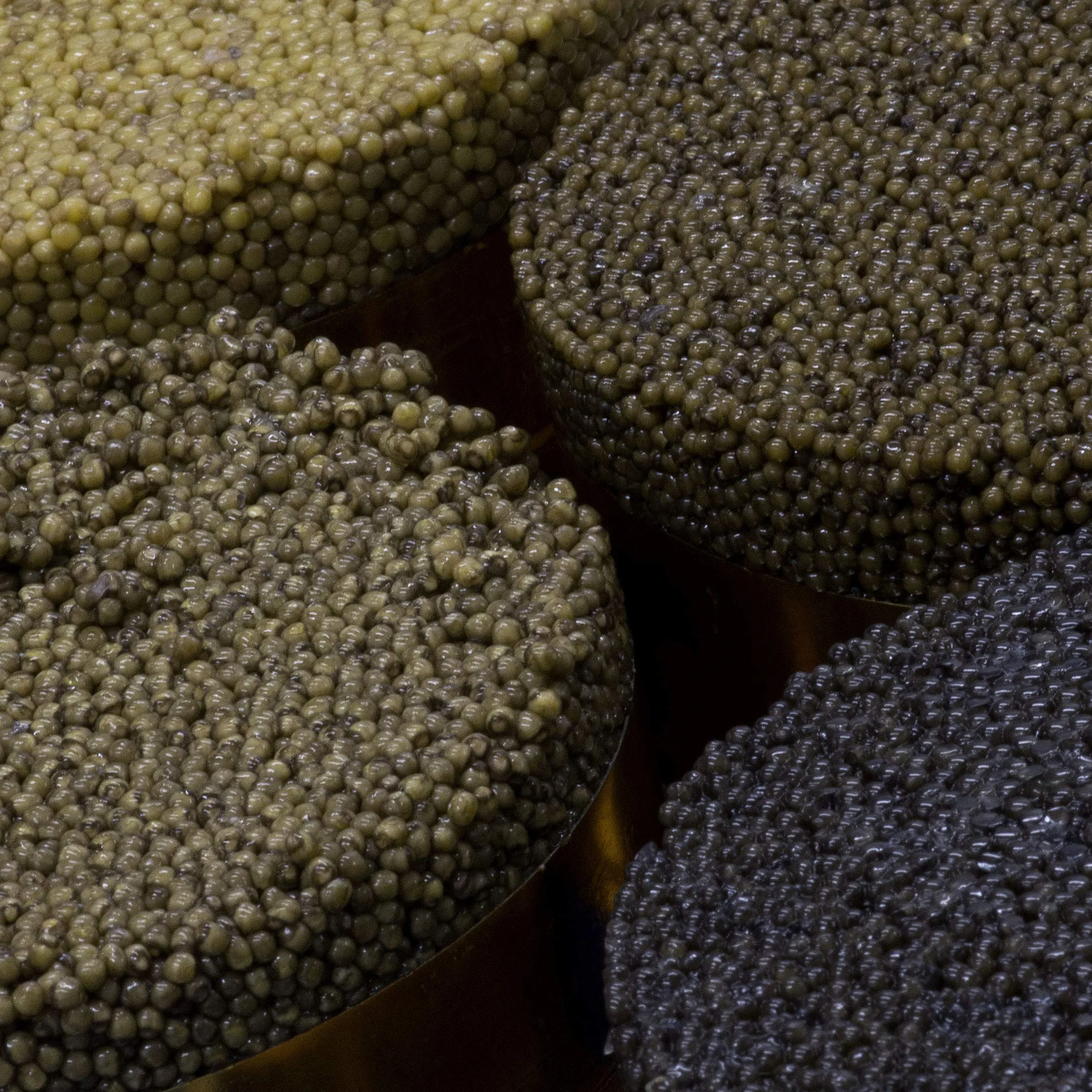 Caviar Baeri Francés 250g - Origen Francia - Acipenser Baerii - Entrega Refrigerada - CAVIAR AMBASSADE