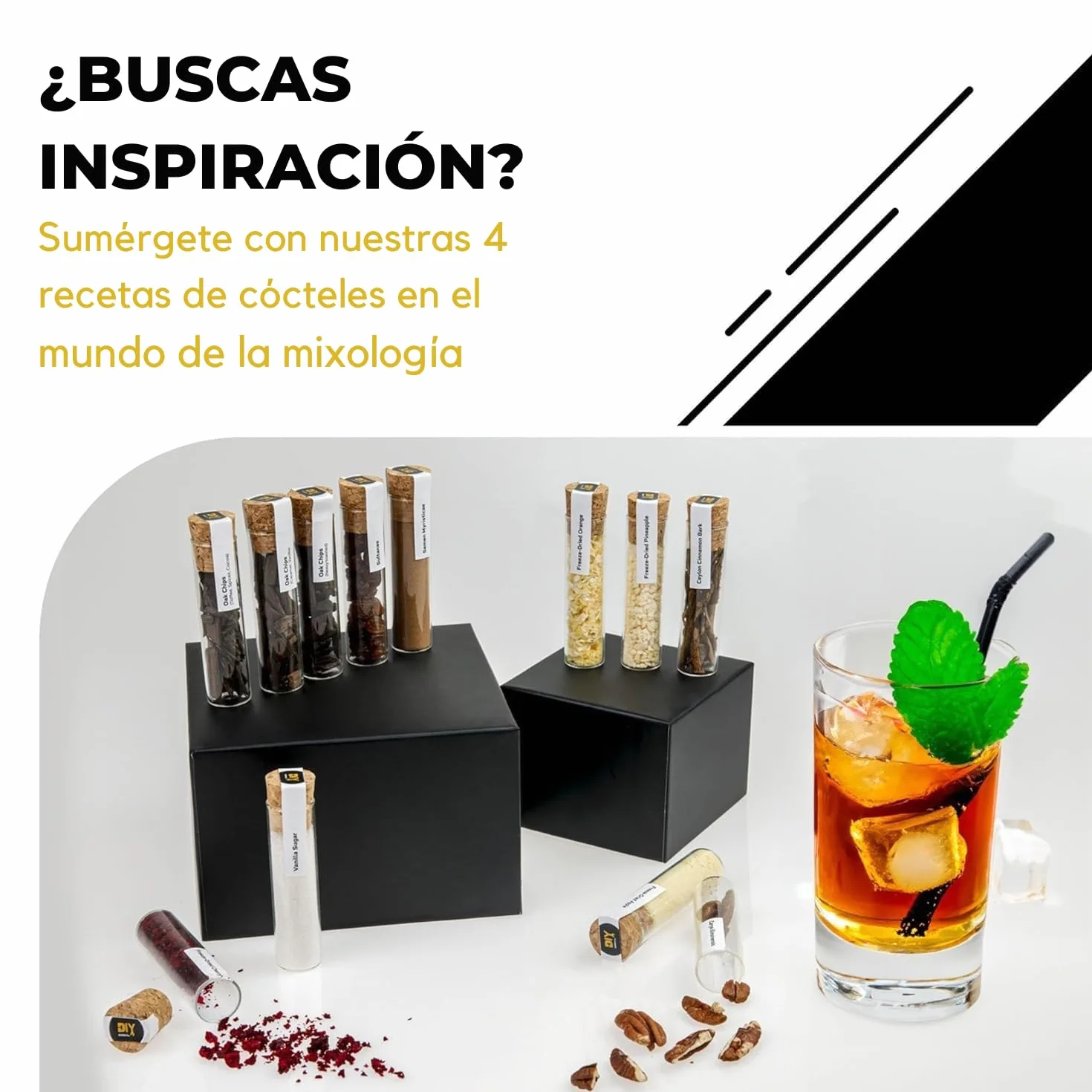 DIBYS Mini Kit Whisky para Regalar | 12 Especias para Cócteles | Con 4 Tarjetas de Recetas, Léxico y Elegante Caja | Set de Regalo para Hombres y Mujeres | Juego Hacer Whiskey Infusión en Casa