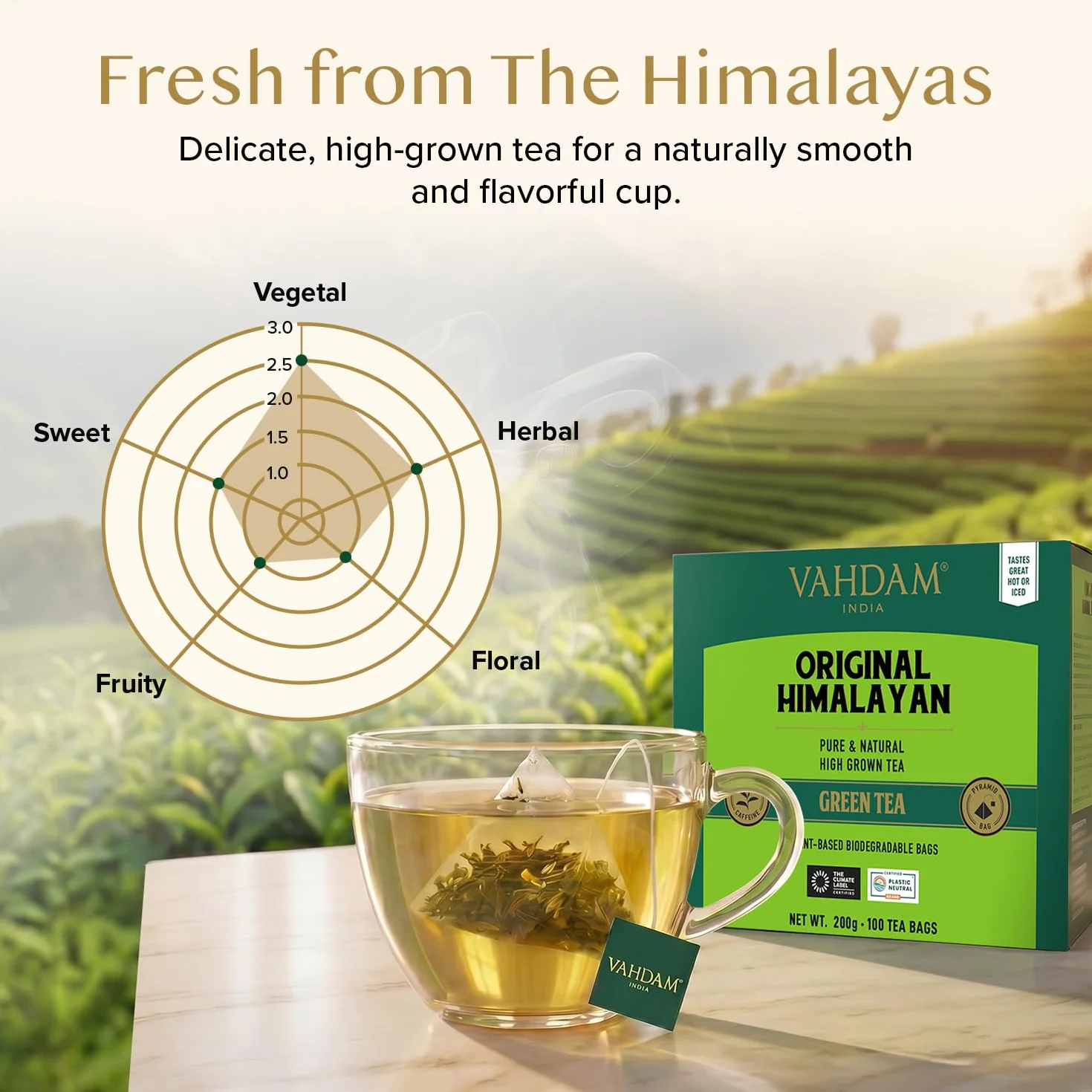 VAHDAM, Himalayan Té Verde (100 Piramidales Bolsitas De Té) 100% Pura Y Natural | Envasado Fresco En La India | Caliente, Frío O Como Kombucha