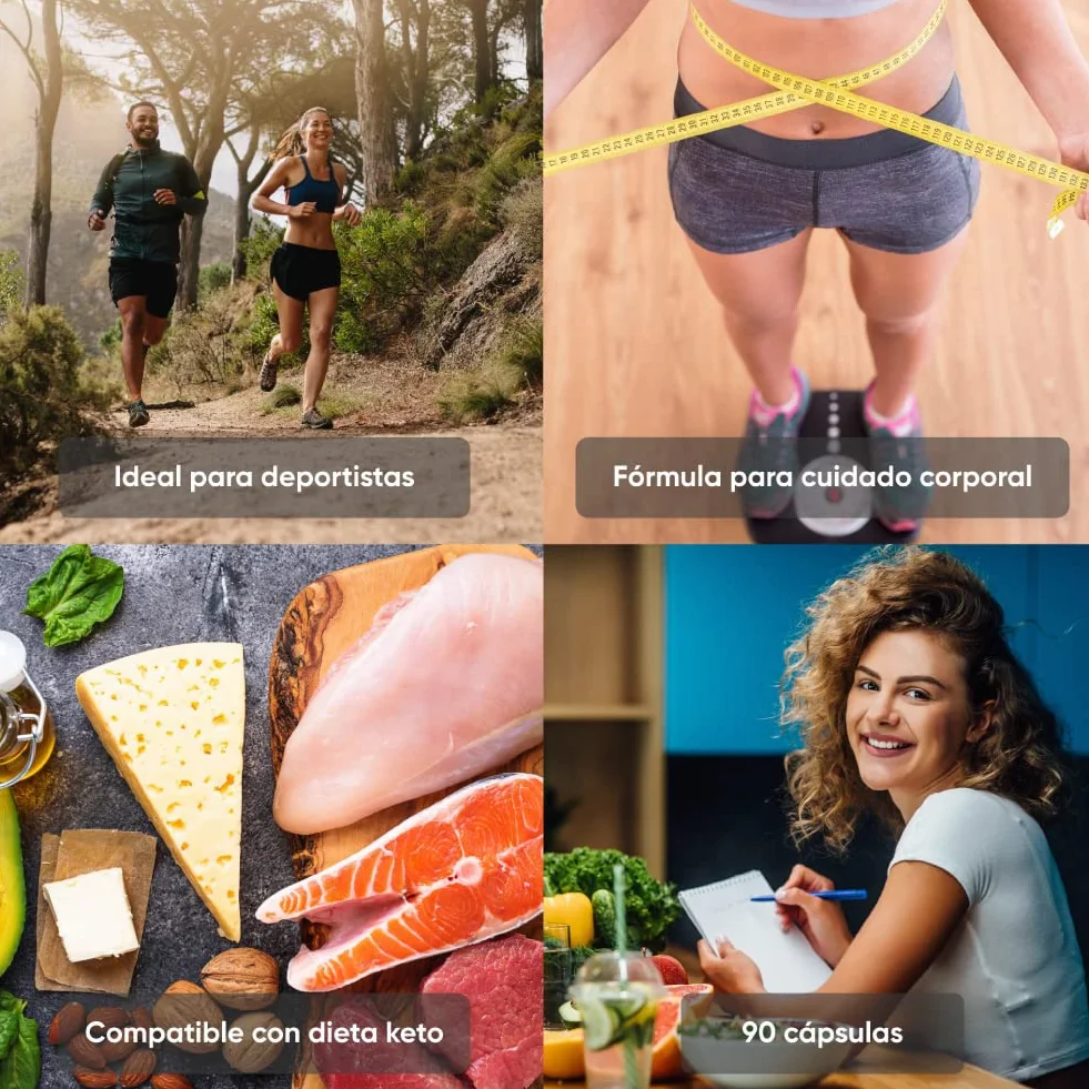 RcOcio Batido Sustitutivo de Comida - Termogenico - Pack | Sustituto Alimenticio Dietetico alto en Proteinas | Ayuda para perder Peso | Chocolate - Vainilla - Fresa | Saciante para hombre y mujer…