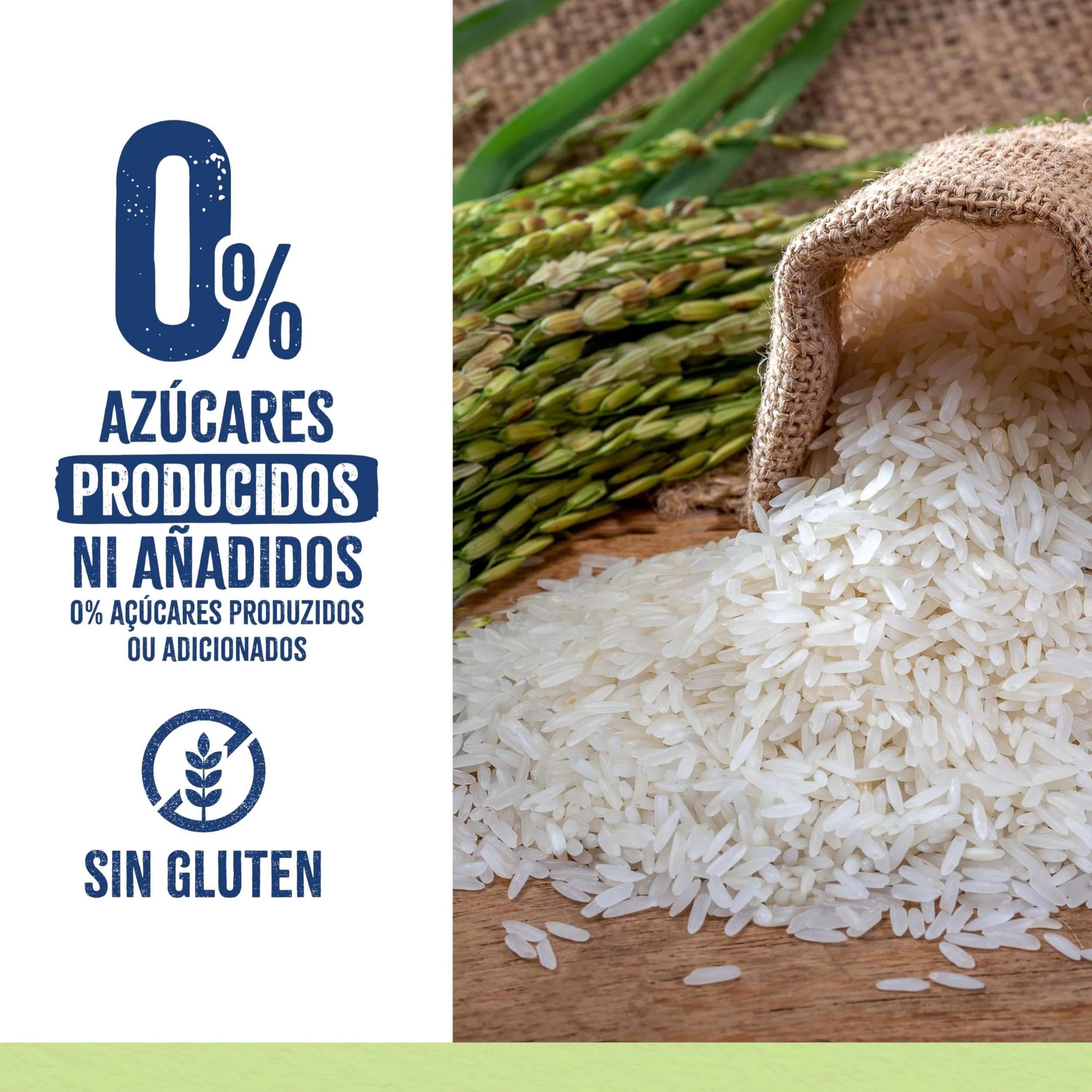 Hero Solo Papilla Crema de Arroz, Sin Gluten, Rica en Fibras y Vitaminas, Sabor Natural para Bebés, a partir de 4 meses, Pack x 6 units x 220 g