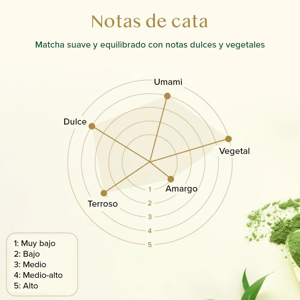 VAHDAM Polvo de Matcha Vainilla 100g-50 Tazas | Matcha Uji & Vainilla de Madagascar | 100% Natural | Té Verde Japonés Premium | Para Latte & Té