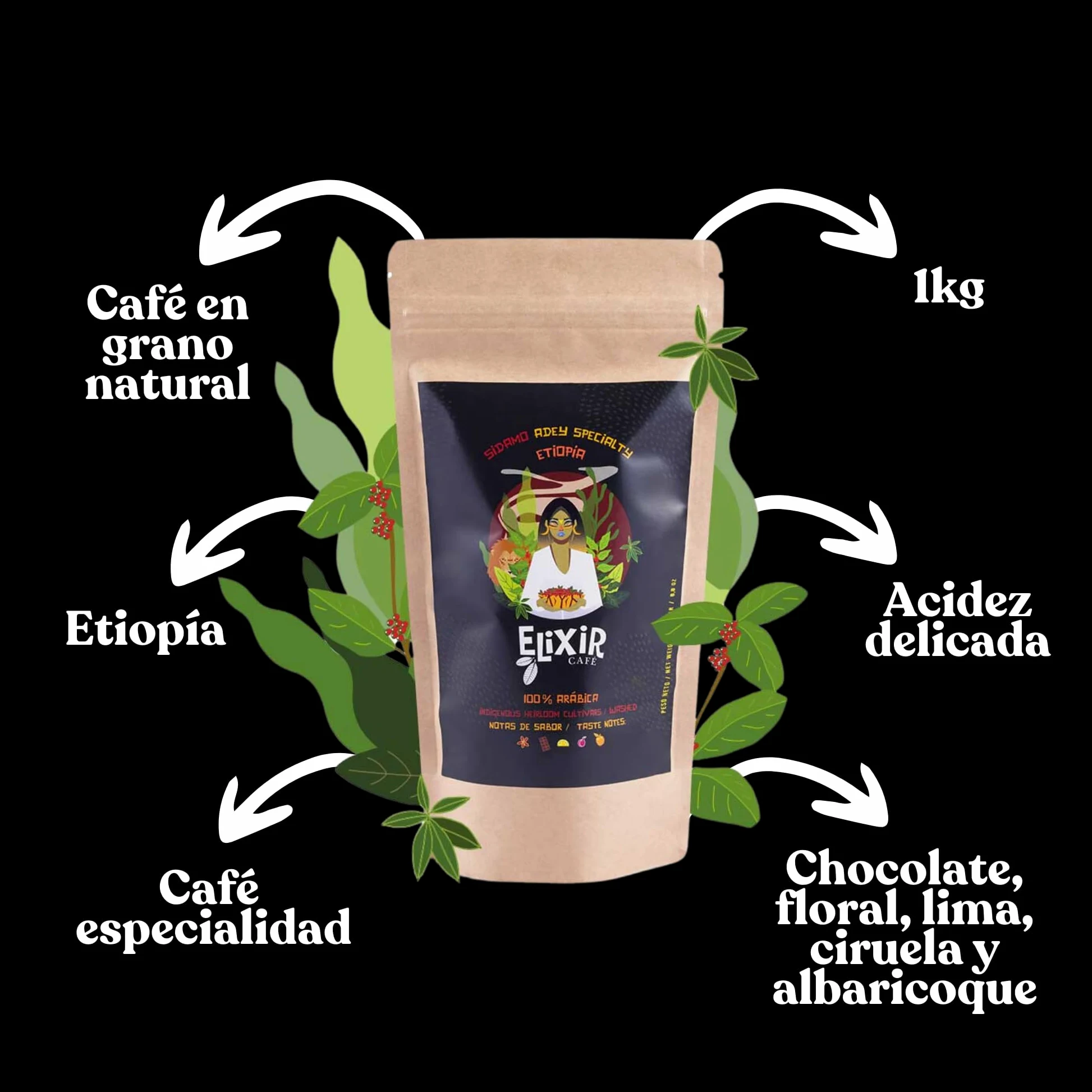 Cafe En Grano Natural 1kg Elixir - Cafe Especialidad Etiopía | Café En Grano 1kg | Café Arabica Etiopía | Intenso 5/5