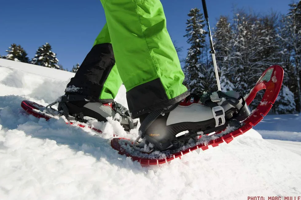 TSL Symbioz Elite Raqueta de Nieve