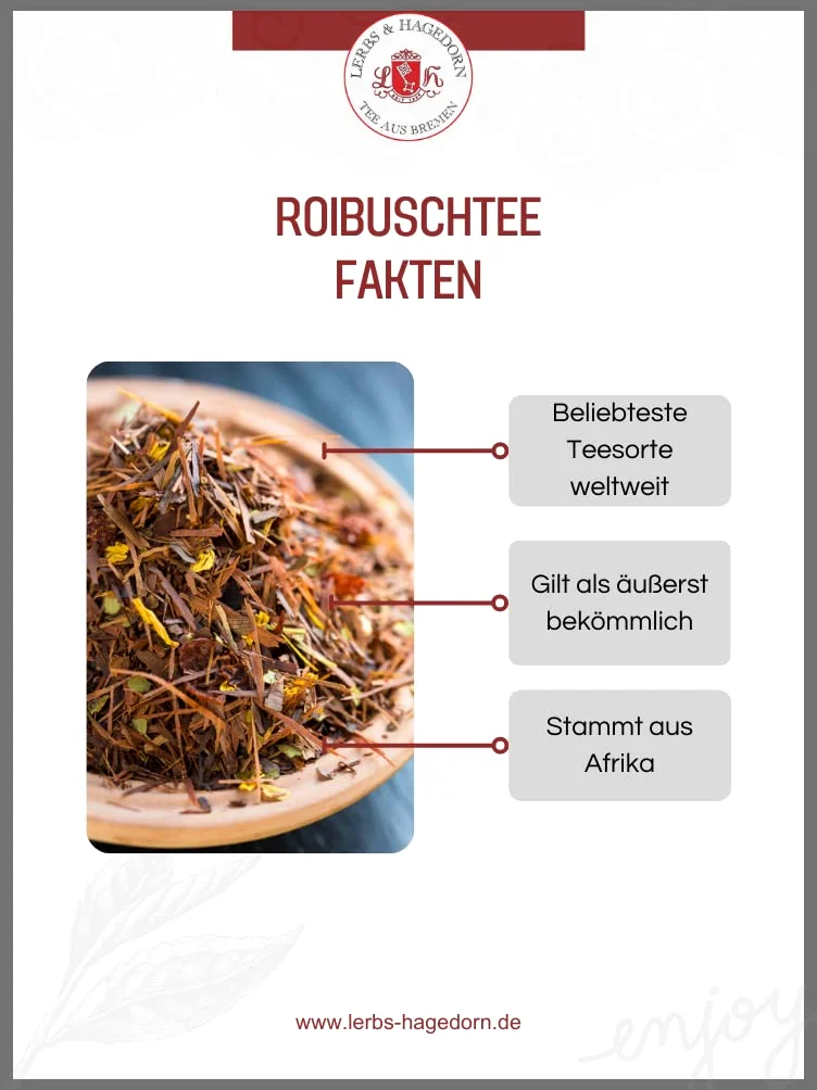 RUM Arabica - Té de roibuk (2 kg)