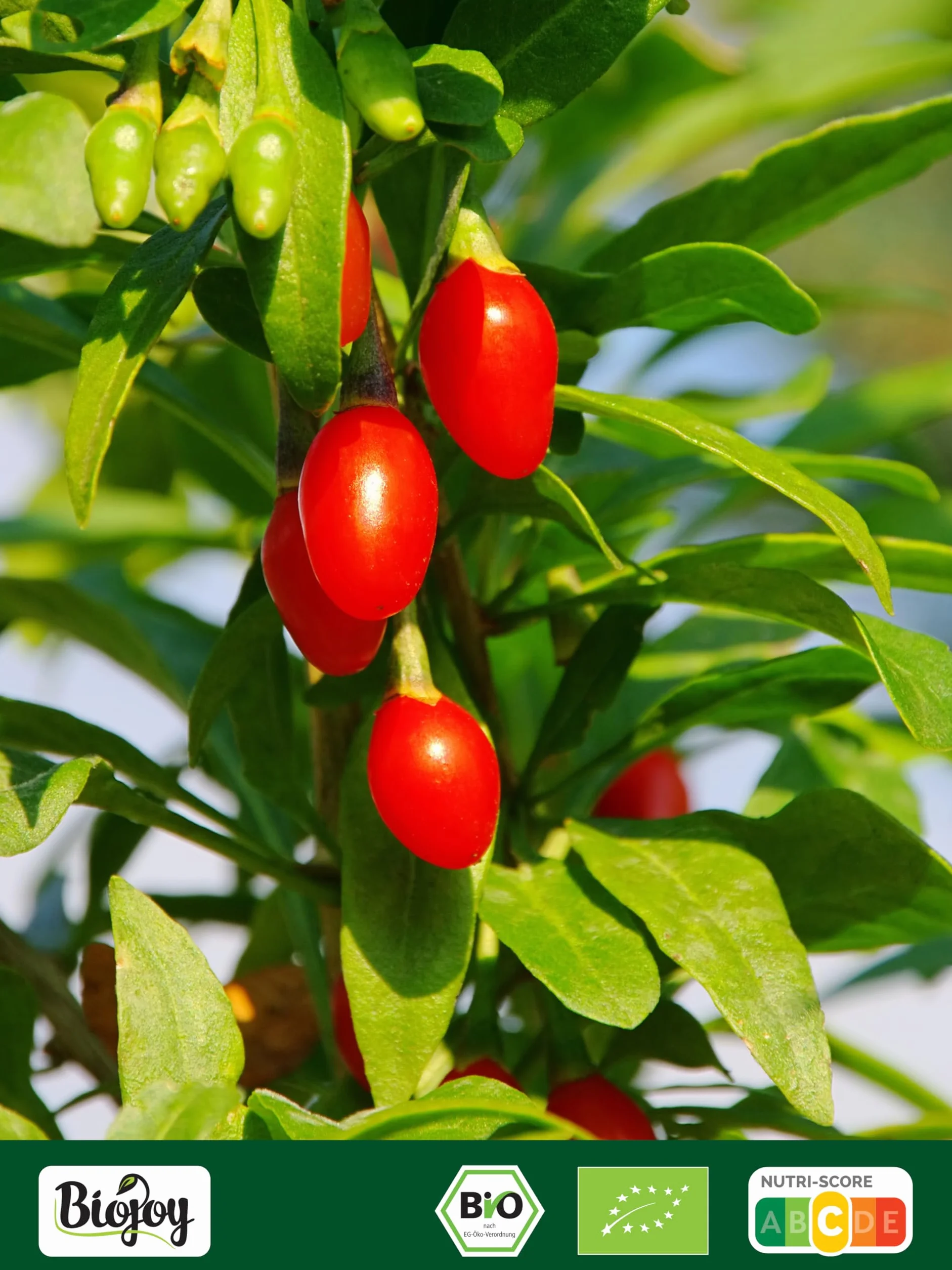 Biojoy Bayas de Goji deshidratadas Ecológicas (1 kg), sin azúcares añadidos y sin azufre