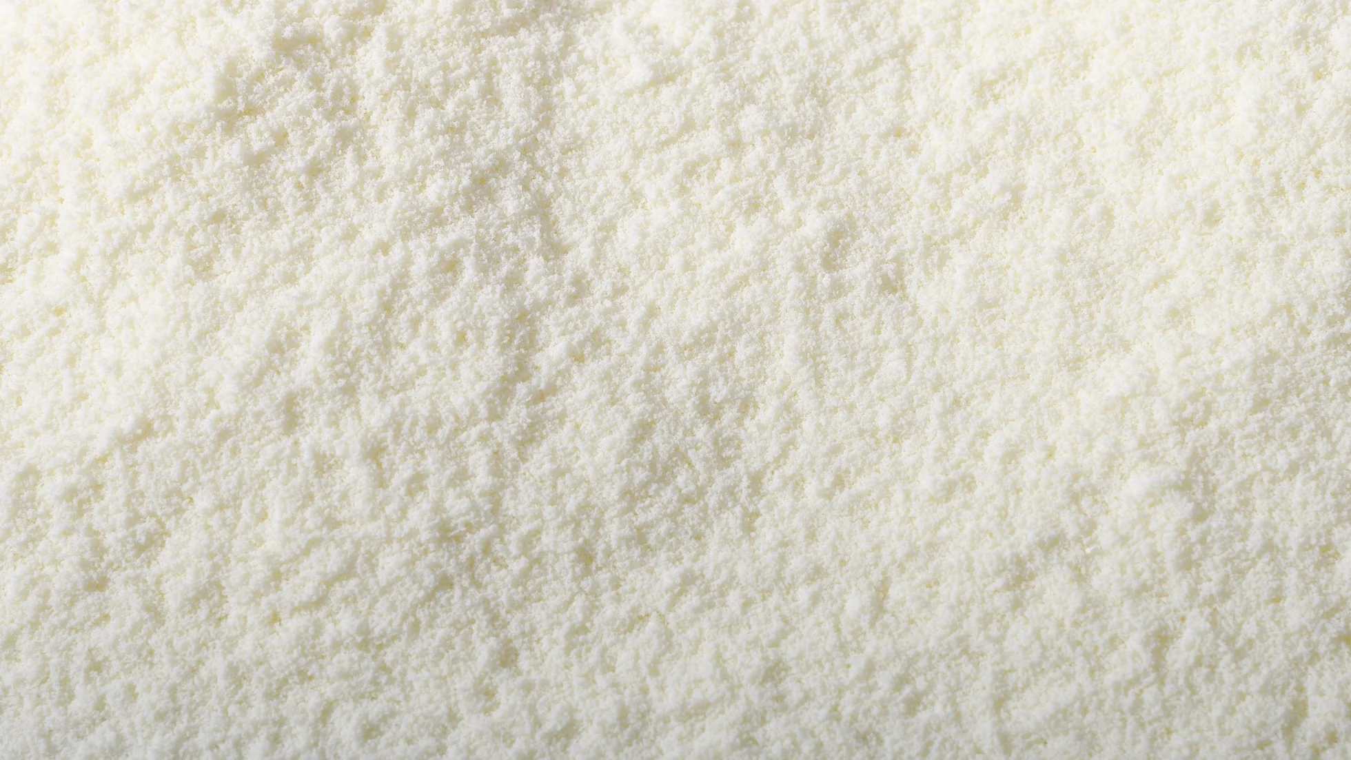 REGILAIT Leche en Polvo Desnatada Granulado Instantánea KG 3 para Máquinas Expendedoras