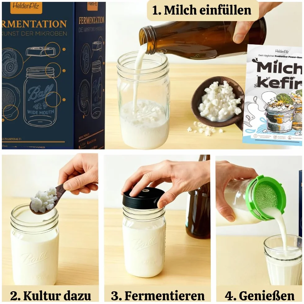 Orgánico Juego de kéfir de leche, cultivo inicial, tubérculos vivos para fermentación reutilizable