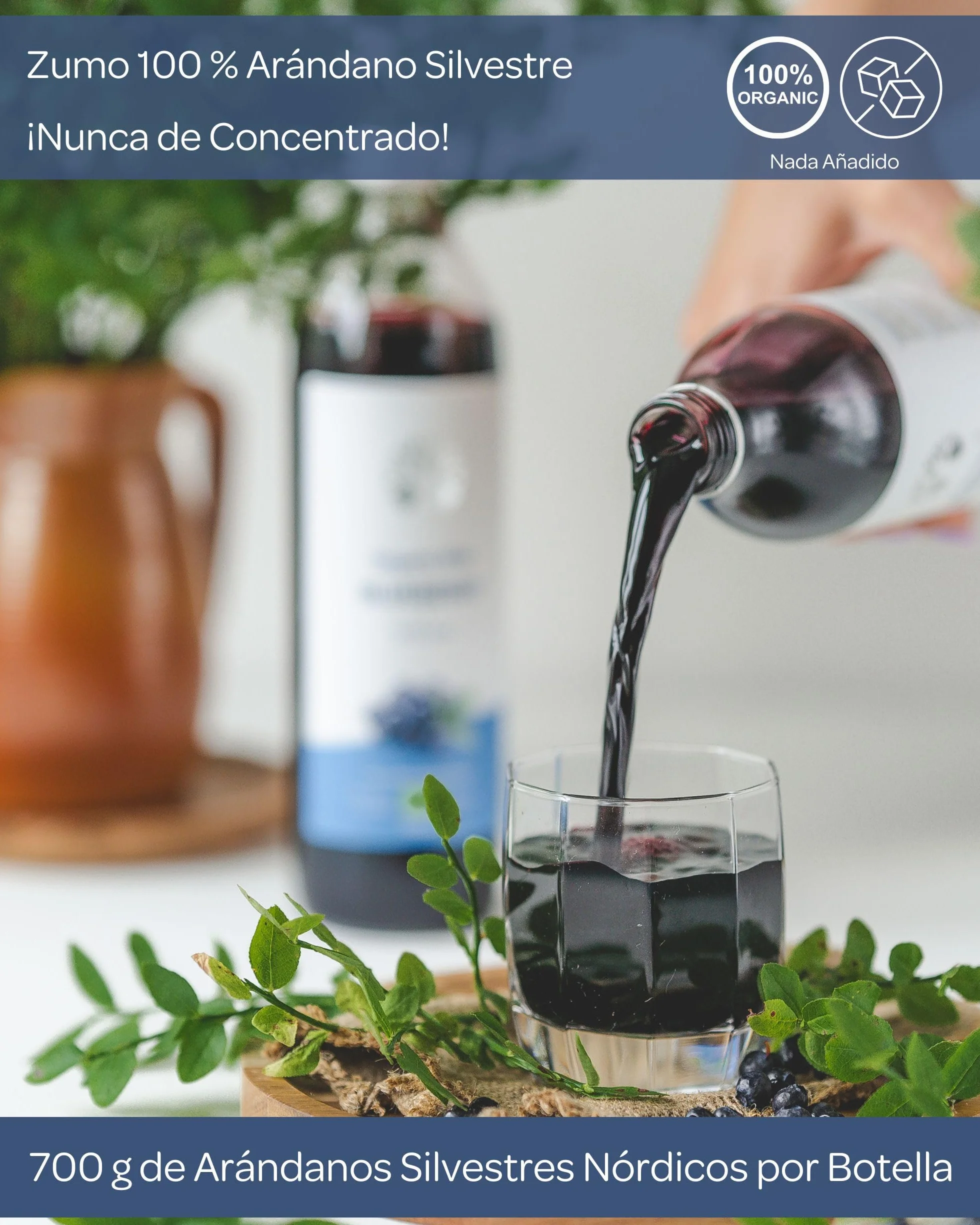 LOOV Zumo de arándanos silvestres ecológicos 100% puro prensado en frío 6 x 500 ml