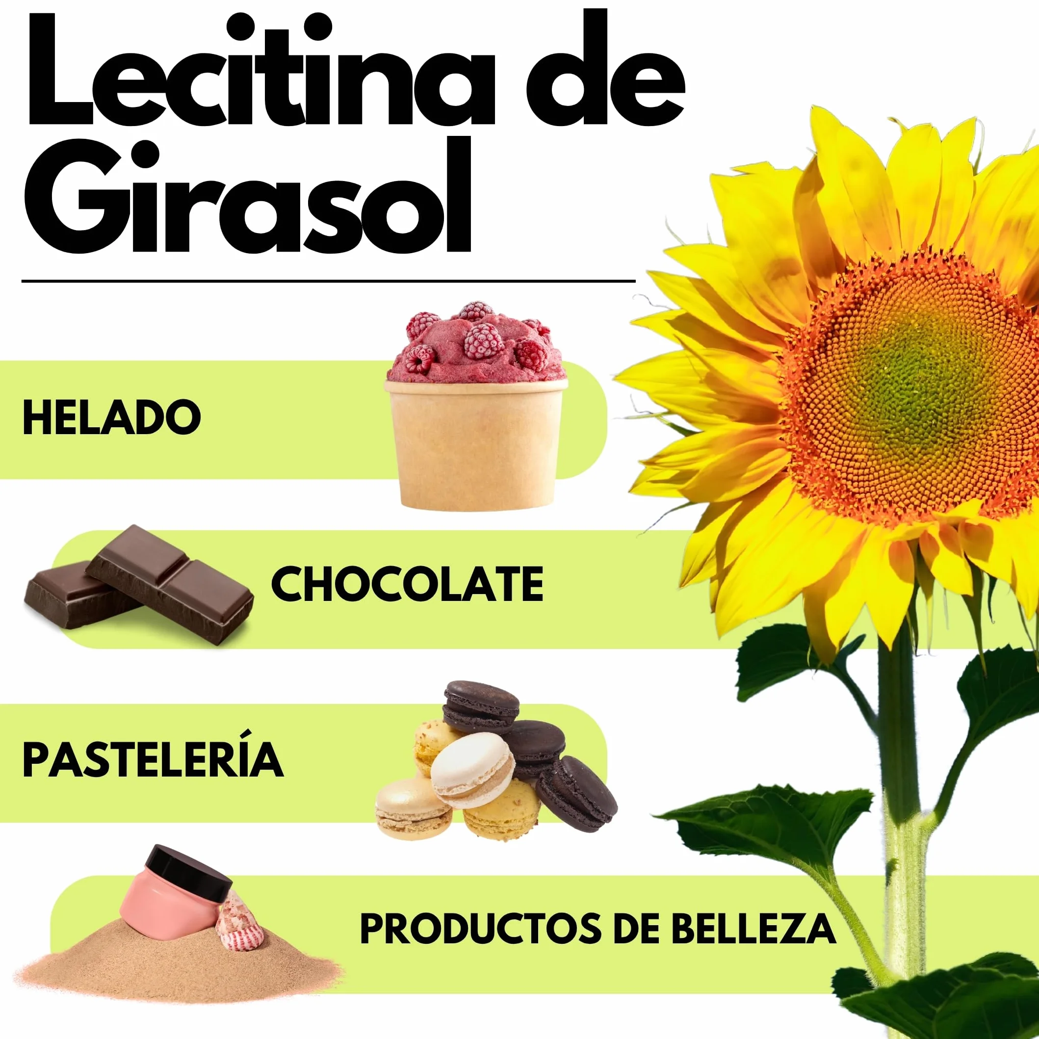 SaporePuro Lecitina de Girasol en Polvo 100 g – Emulsionante Natural SIN GLUTEN