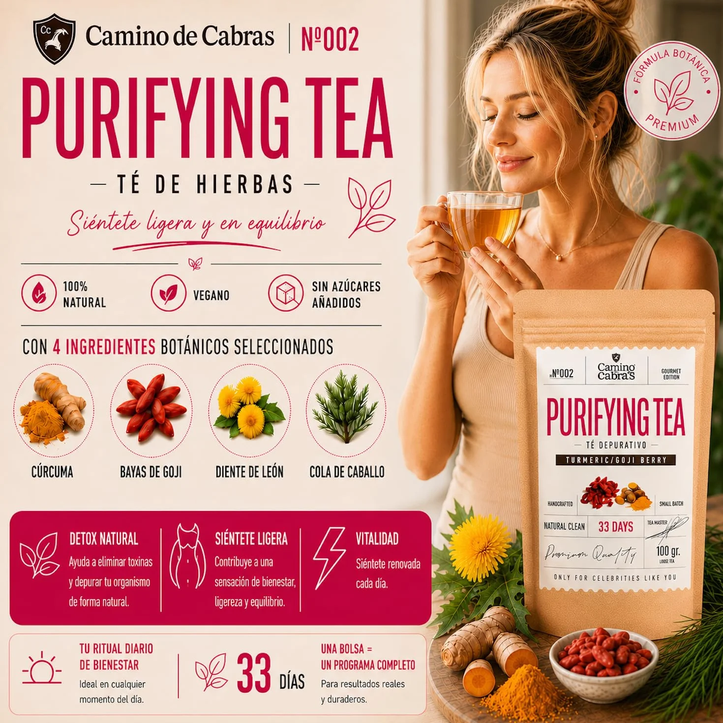 DETOX | Té Depurativo | Infusión drenante con efecto diuretico | Te Verde, Cola de Caballo, Diente de León, Curcuma, Jengibre, Bayas de Goji, Piña | Antioxidante Natural 100g