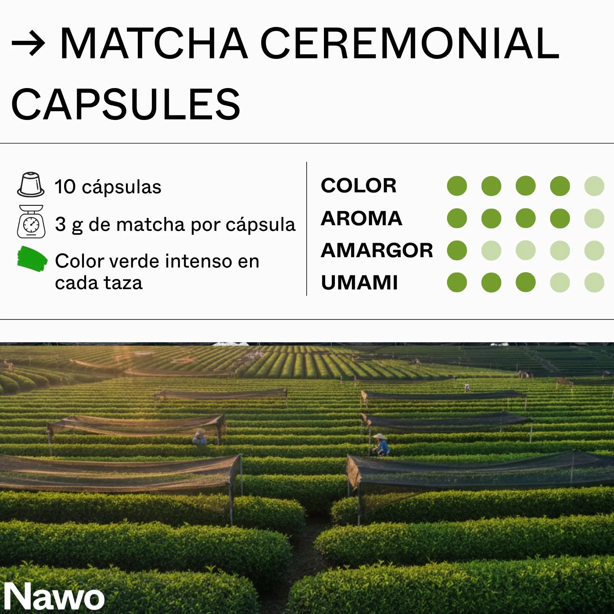 10 Cápsulas de Té Matcha Ceremonial – Compatibles con Nespresso®, 100% Natural, Té Verde en Polvo, Ideal para Matcha Latte, Sin Azúcares Añadidos ni Conservantes – NAWO® Matcha