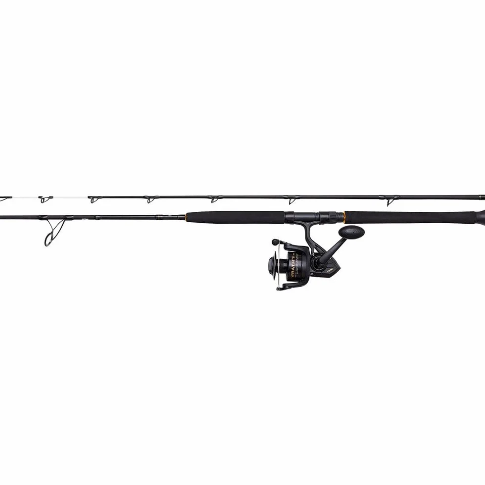 Penn Wrath II Combo Giratorio para Barco Caña de Pescar Agua Salada Bacalao Lubina Fletán