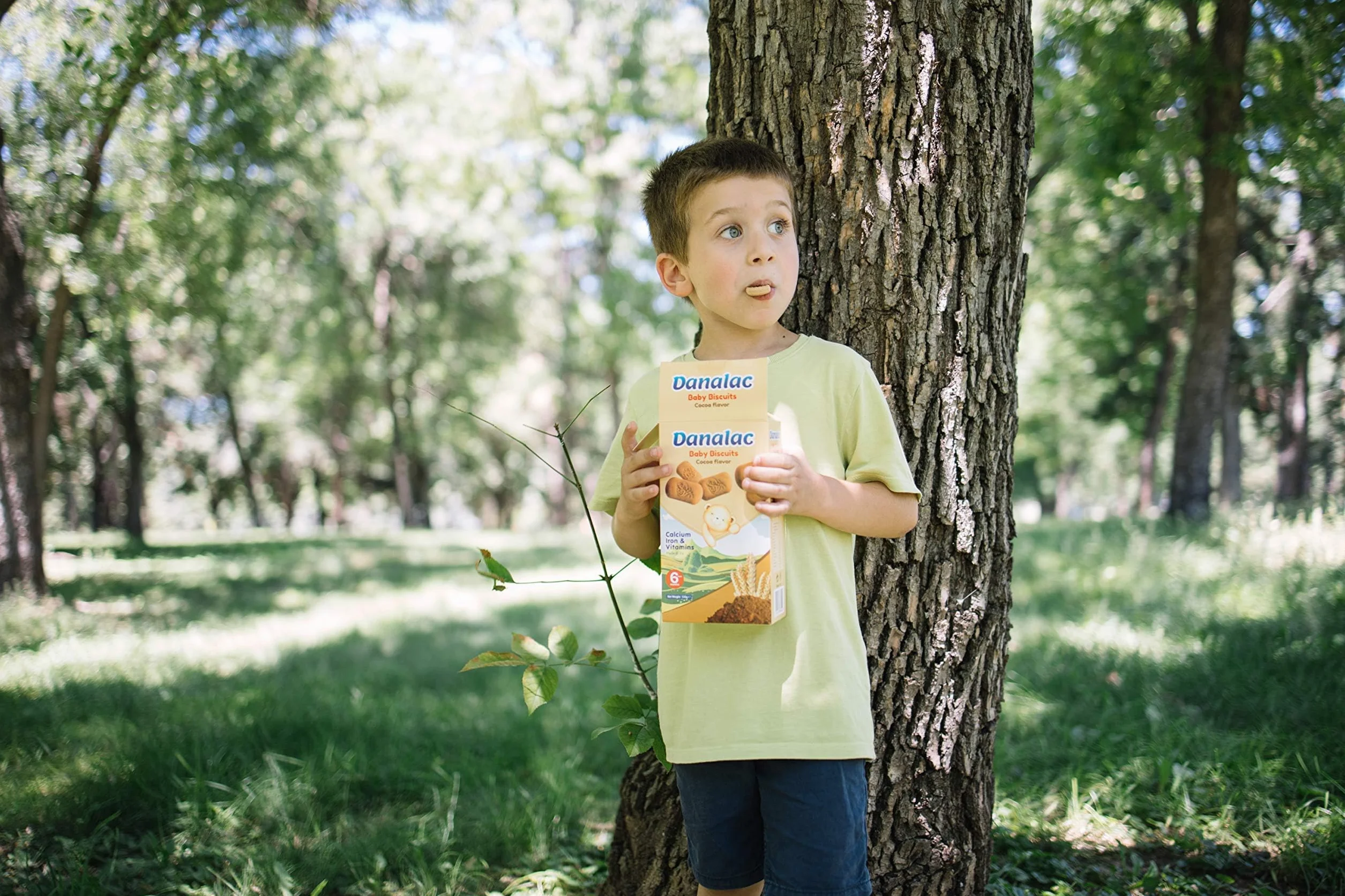 Danalac, Paquete De Galletas De Cacao Para Bebés De Bocadillos Para Niños Pequeños De 6 Meses O Más Con Calcio, Hierro Y Vitaminas, 120 Gramos