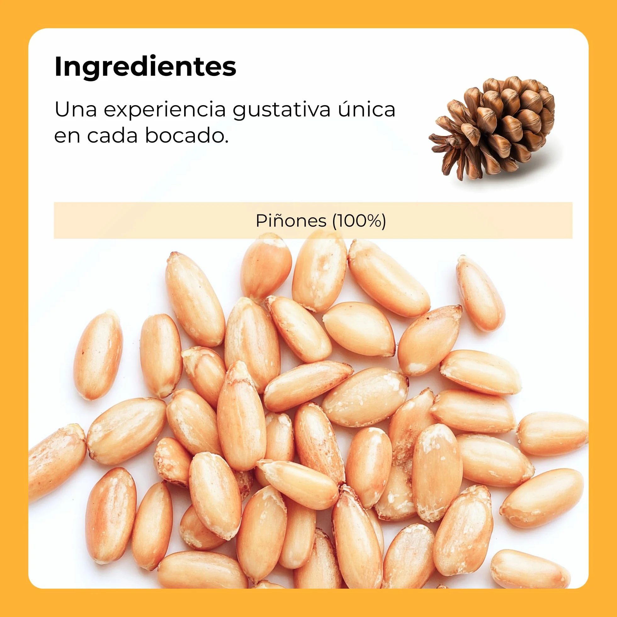 Dorimed Pack de Piñones Crudos de Pino 1kg Pelados | Frutos Secos Siberianos Sin Cáscara de Origen 100% Natural | Bolsa en Porciones para Cocinar
