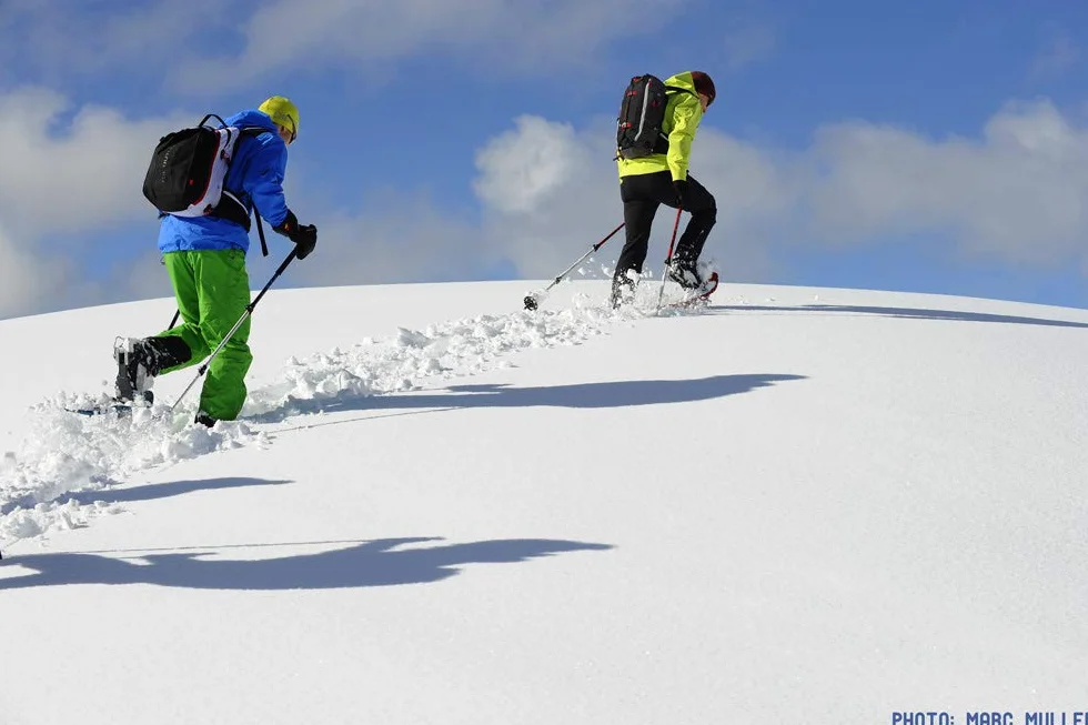 TSL Symbioz Elite Raqueta de Nieve