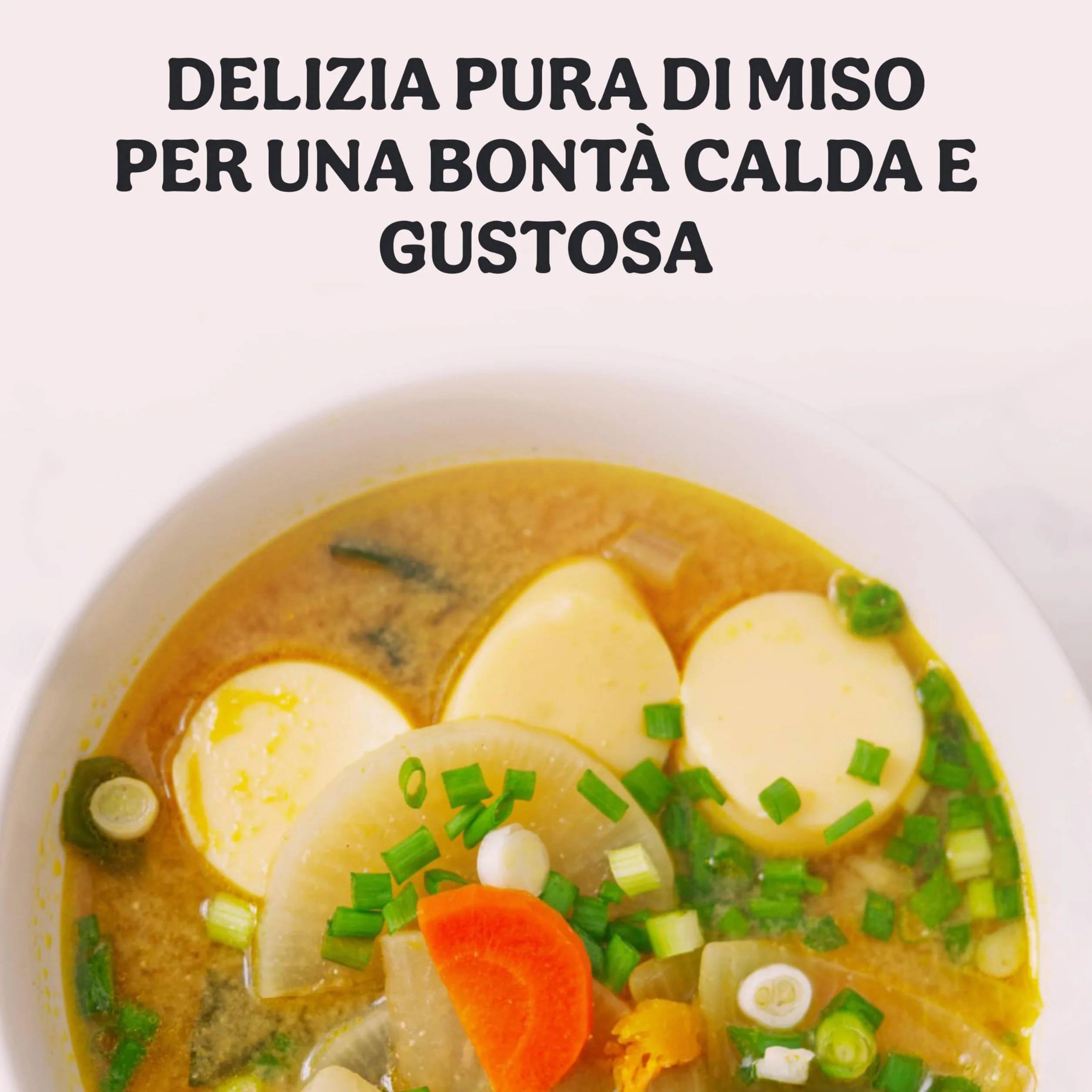 Probios Sopa de miso roja instantánea con algas Wakame bio embalaje (4x10g) 40g