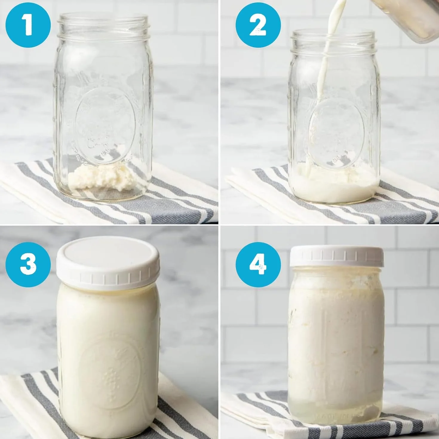 Pack Nódulos 10g Kéfir de Leche + 50g Nódulos Kéfir de Agua – Probióticos Naturales para Fermentar Bebidas Saludables – Fácil de Usar y Reutilizable - OH MY KÉFIR®
