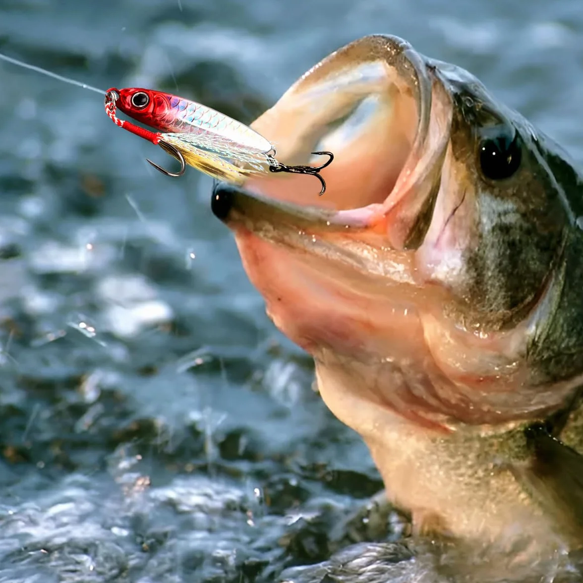 WASAGA 5 Piezas Señuelos de Pesca Que Se Hunden Plantillas de Cebos Giratorios de Metal 7g-30g