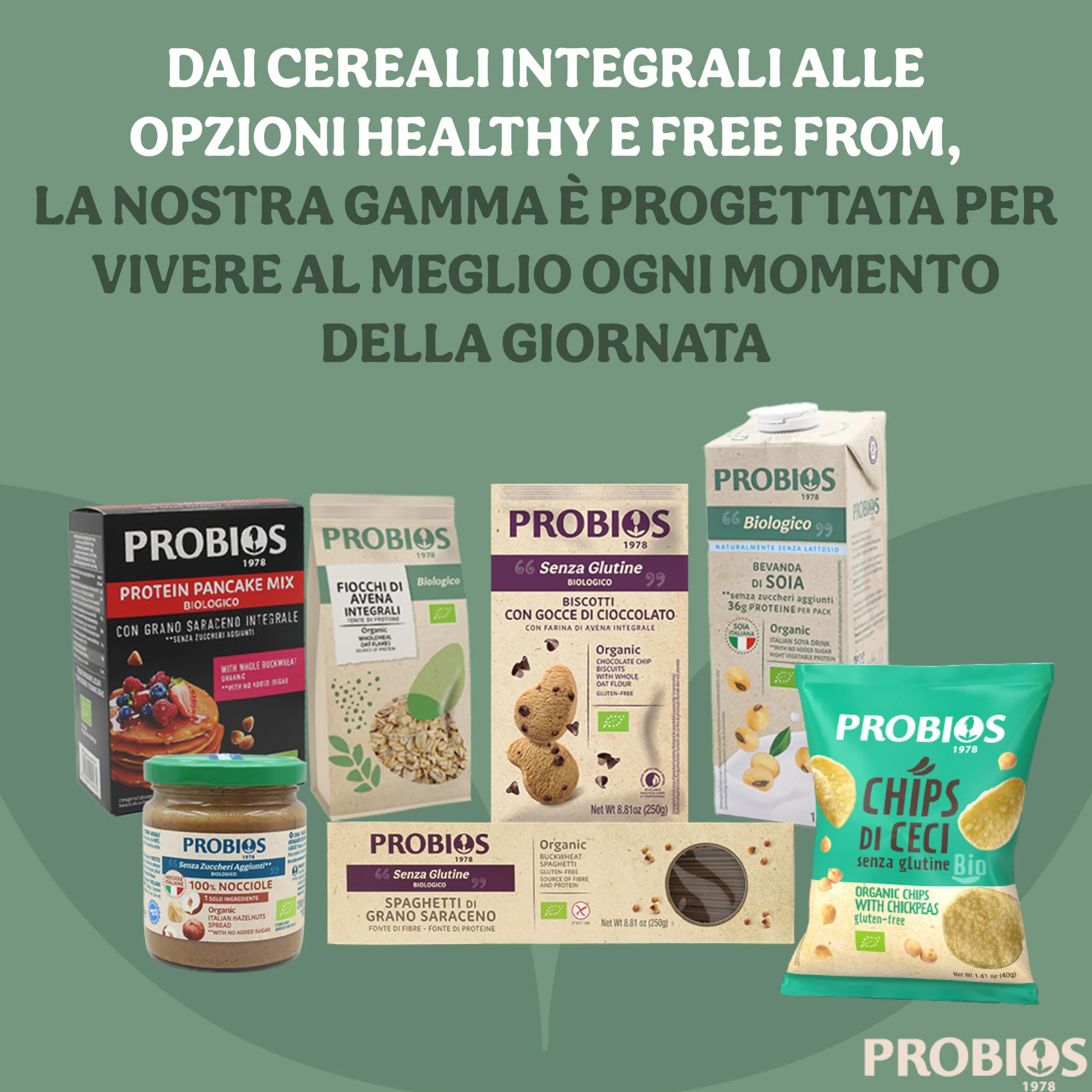 Probios Chips con garbanzos bio embalaje 12 x 40g