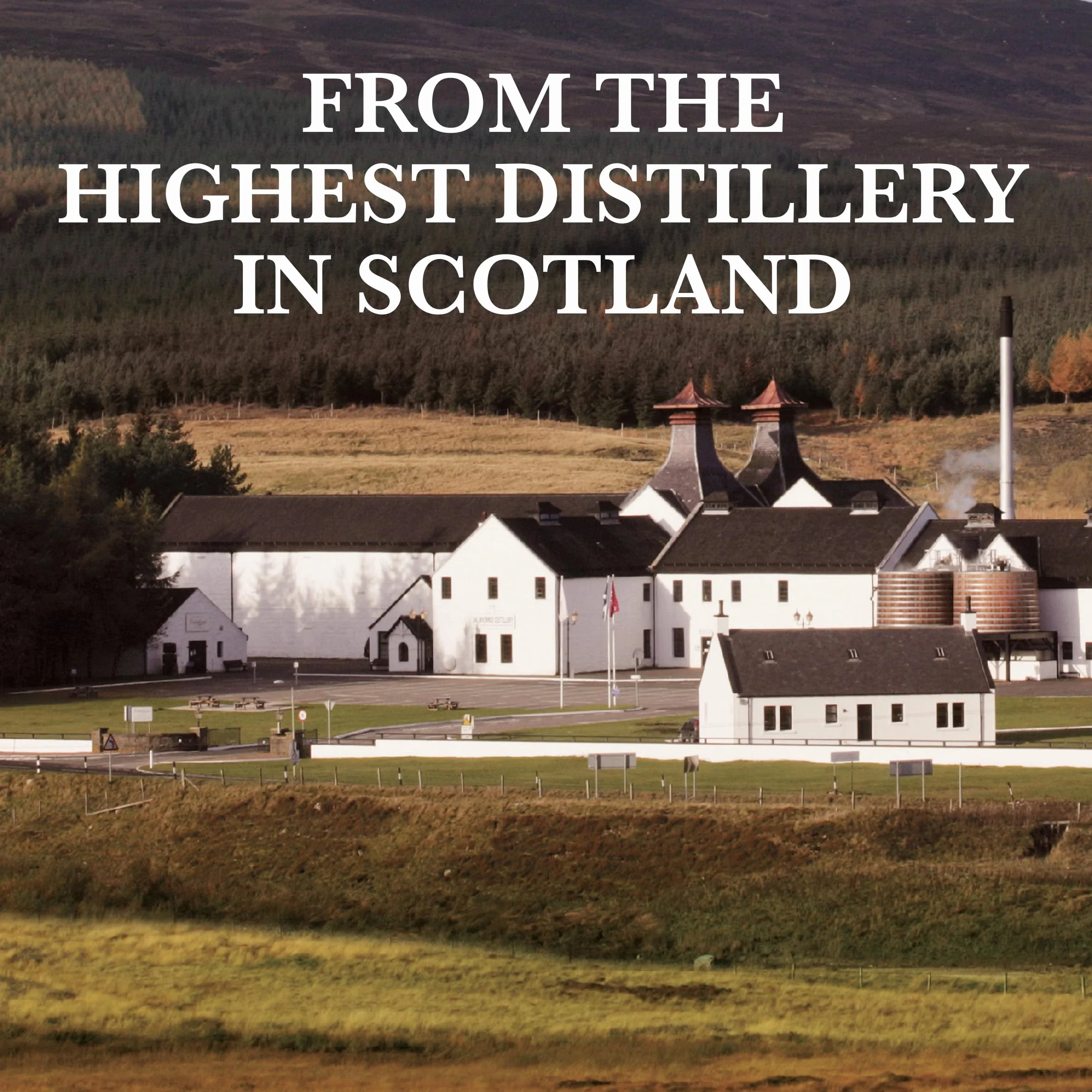 Dalwhinnie 15 Años Single Malt Whisky Escocés 700 ml