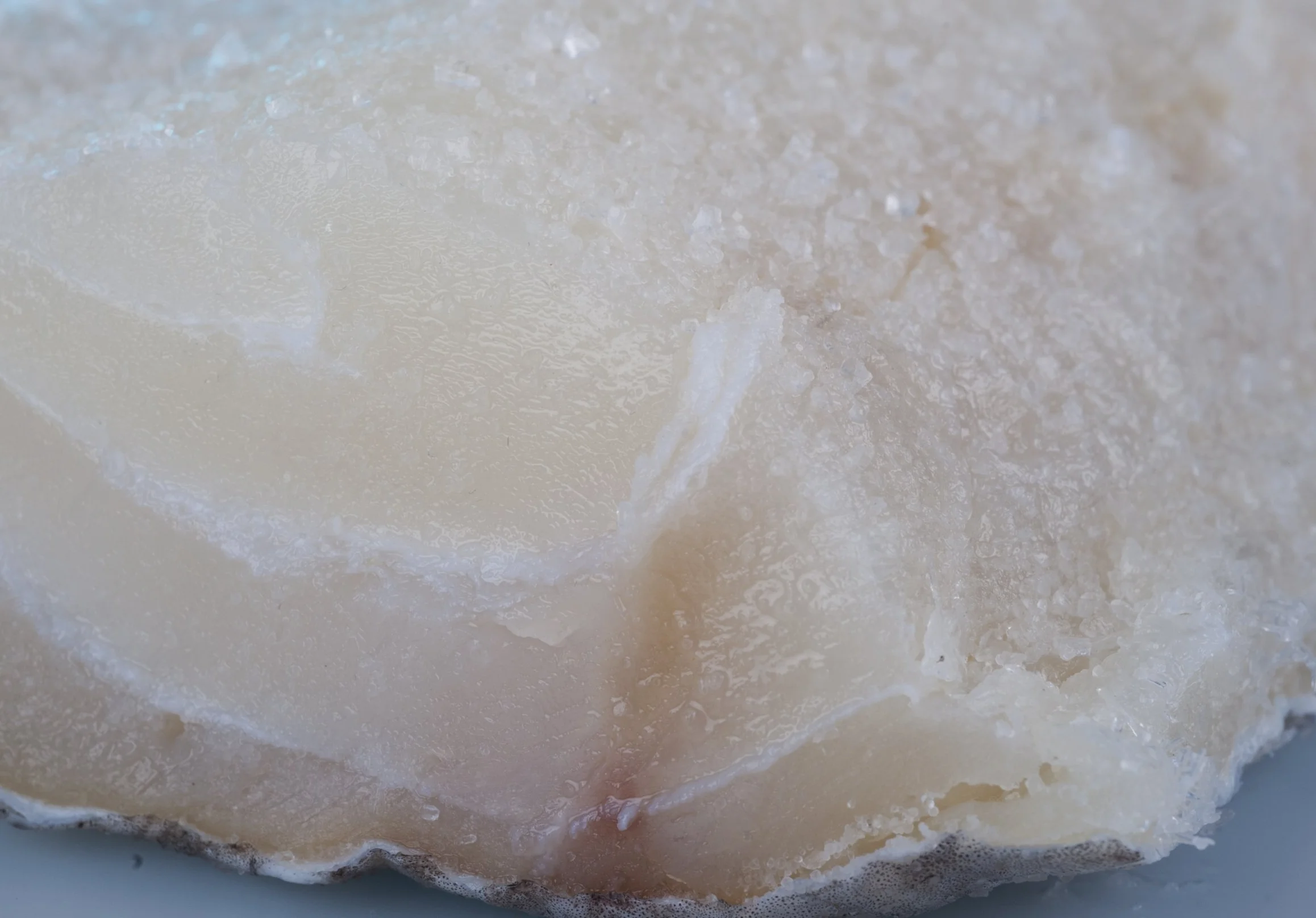 Lomo de Bacalao salado sin espinas 500 g.