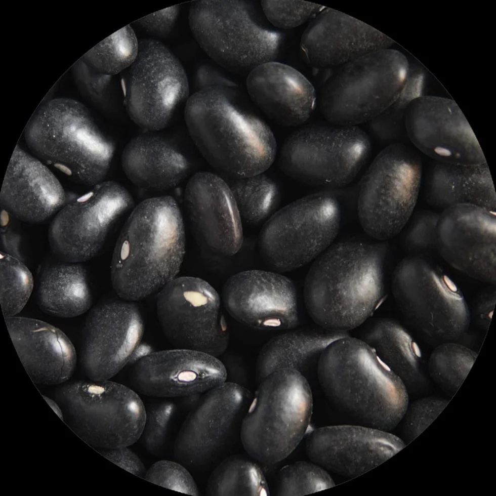Alubia Frijol Negro Saco de 5Kg.