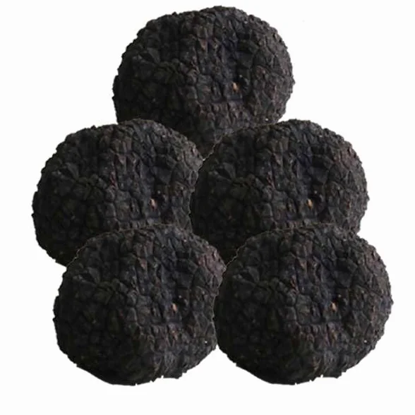 Trufa de verano 200gr Trufa Aestivum
