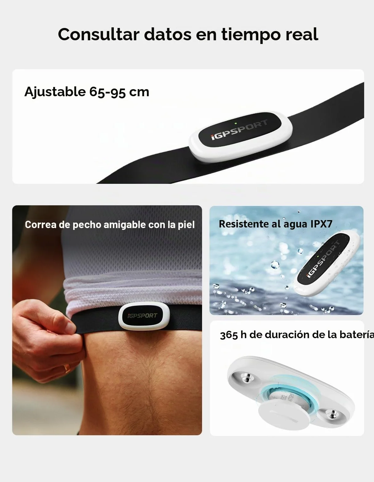 iGPSPORT Monitor de Frecuencia Cardíaca IPX7 Impermeable Bluetooth Ant+ Correa Pecho Correr Ciclismo Compatible Garmin Polar Wahoo Zwift
