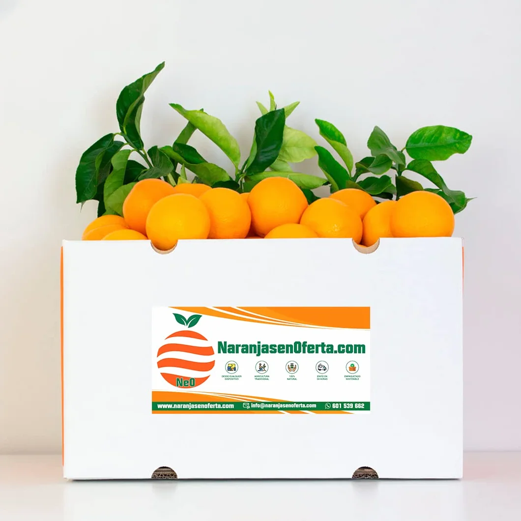Naranjas de Mesa de Valencia, 15 Kilos