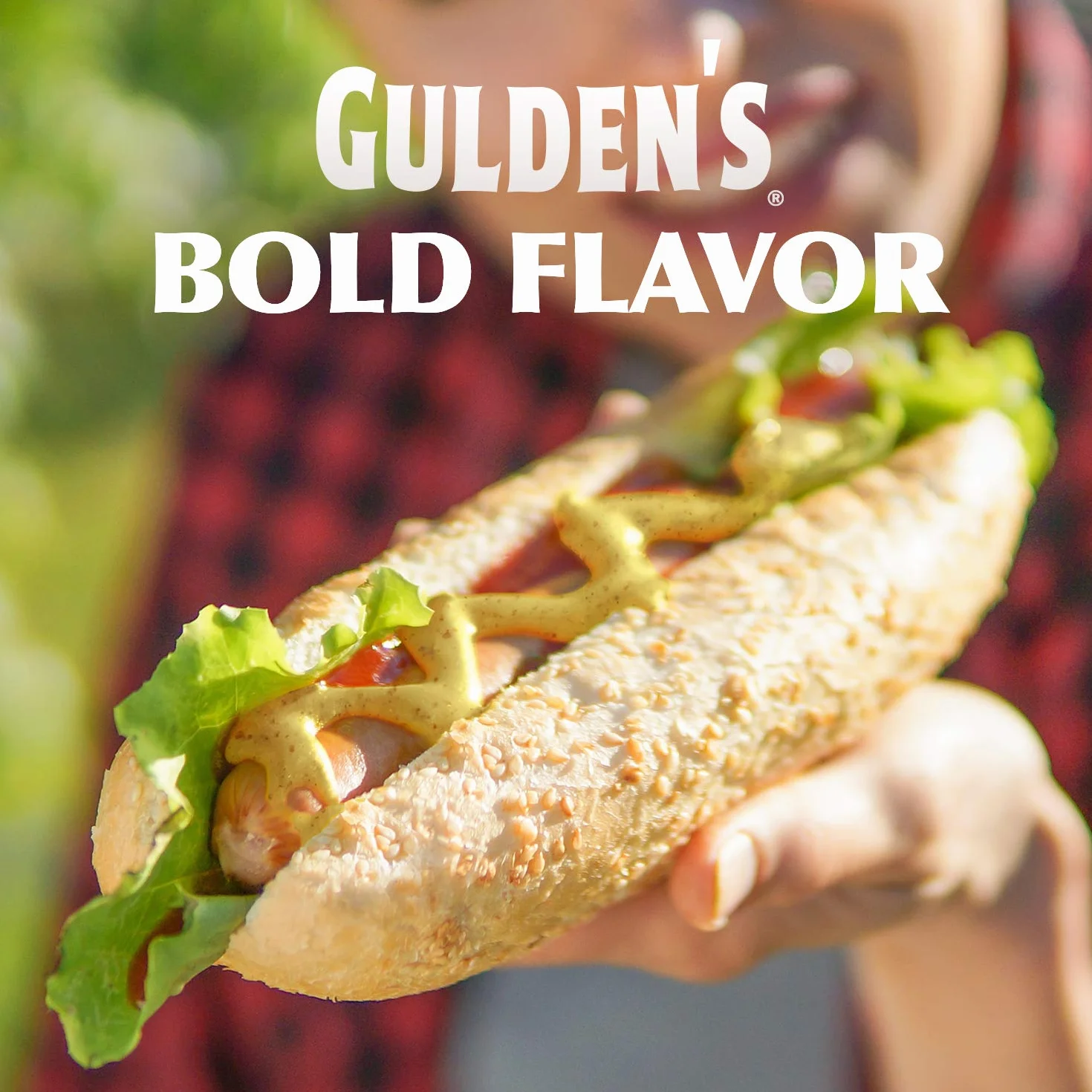 Gulden's Spicy Brown Mustard-24 oz, 2 ct