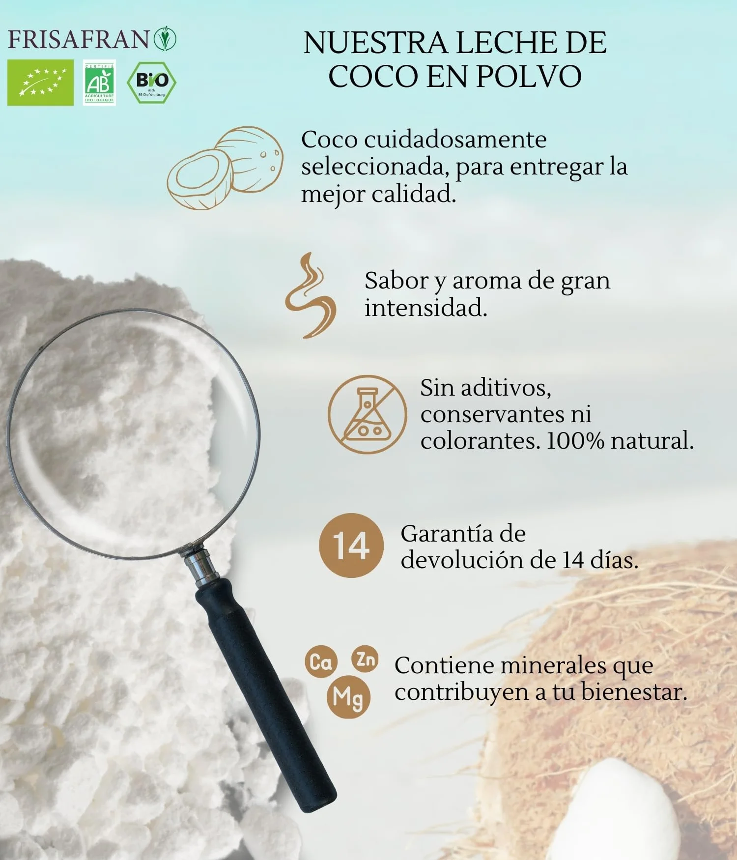 Leche de coco orgánica en polvo 100g Bio sin azúcar sin gluten vegana