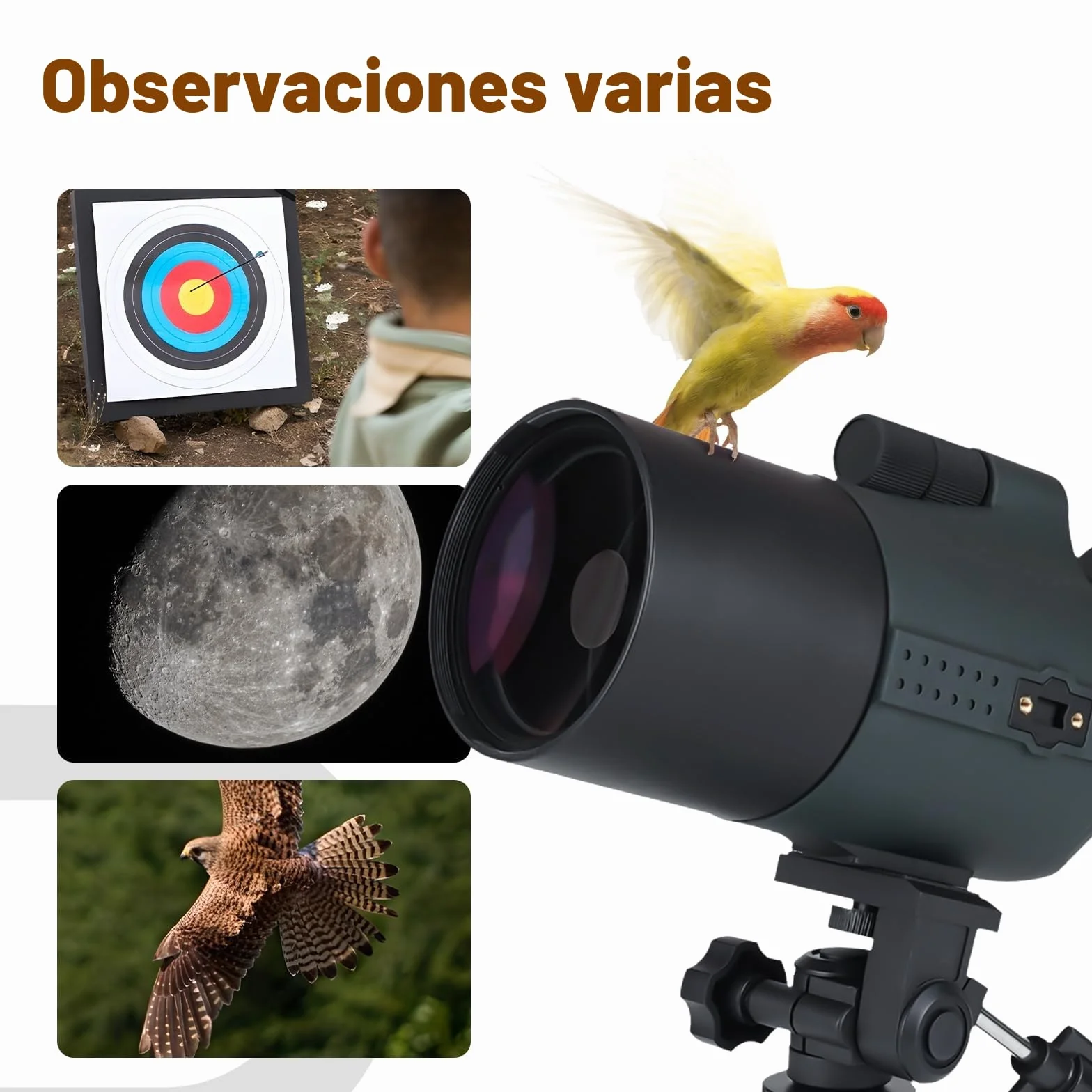 Svbony SV41Pro Telescopio Terrestre 28-84X80 FMC, Enfoque de Doble Velocidad, Spotting Scope para Tiro al Blanco Caza Astronomía