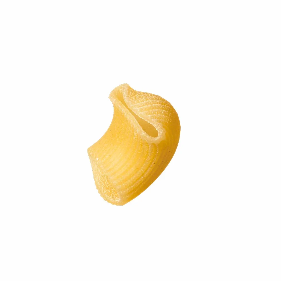 FELICETTI CHIOCCIOLE BIO MONOGRANO KAMUT KHORASAN N°173 gr 500