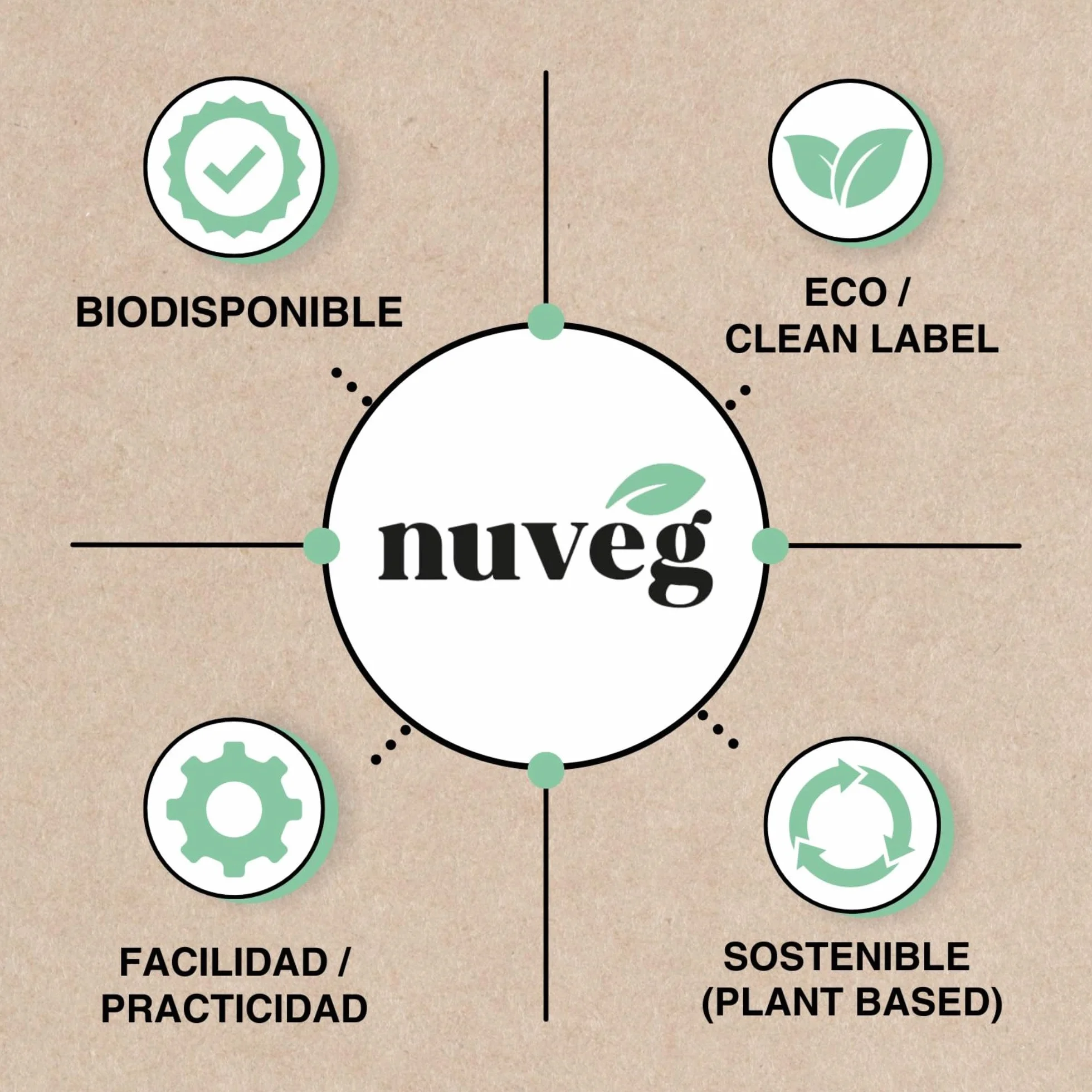 NUVEG Masa Proteica Ecológica para Panes o Pizzas, Vegano, Preparado para Pan Proteico y Masa de Pizza, Harina Panificable Sin Gluten, Sin Lactosa, Contiene Harina de Trigo Sarraceno, Pack 2, 540g