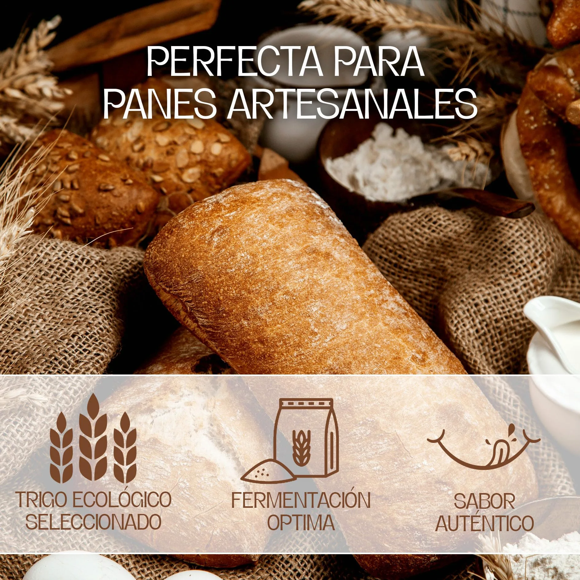 Harina De Trigo Ecológica Blanca W130 | Selección de Trigos Ecológicos y Molturados en Cilindros, con Todo el Germen del Trigo | Aporta Aroma y Sabor | Harina de Fuerza Suave, 25Kg