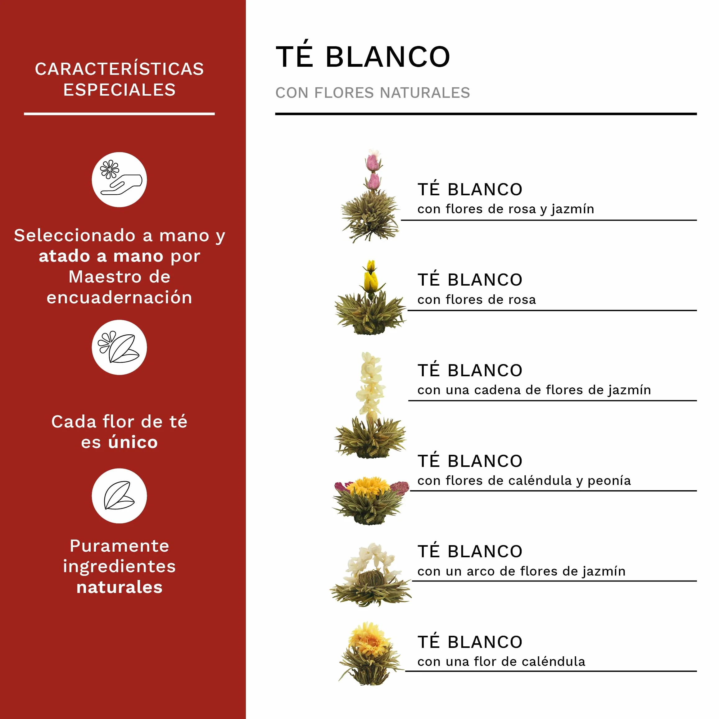 Creano Flores de Té Blanco 6 uds – Cofre de Madera con Tetera de Vidrio 500ml Antigoteo – Set de Lujo para Regalo – Té en Flor Hecho a Mano