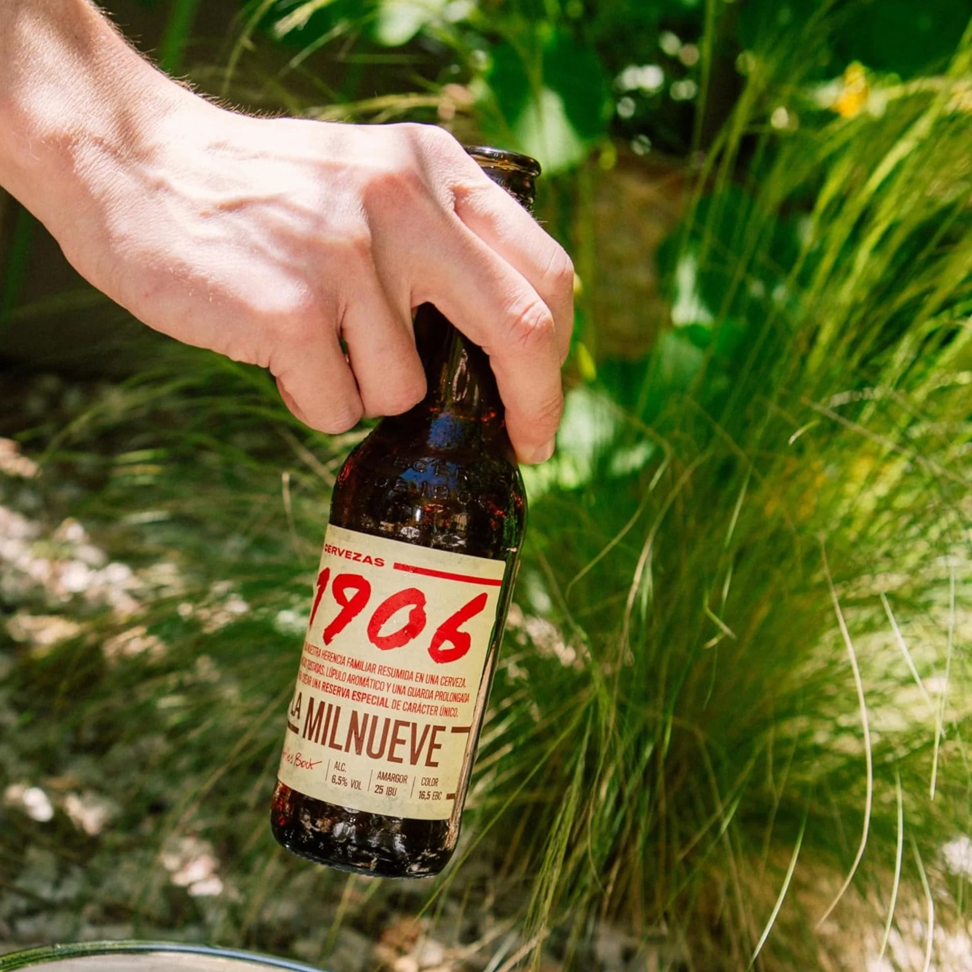1906 Reserva Especial - Cerveza Lager Extra, Pack de 24 Botellas x 33 cl, Sabor Amargo y Aroma Tostado, Galardonada Internacionalmente, 6,5% Volumen de Alcohol