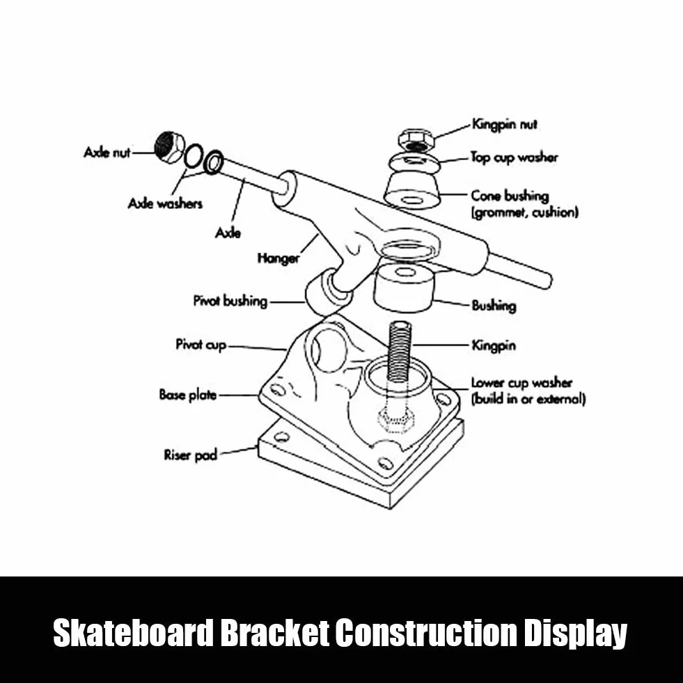 Alomejor 2 Unids Camiones de Skate Profesionales, Puente de Dirección para Longboard, Transmisión por Correa, 4 Ruedas