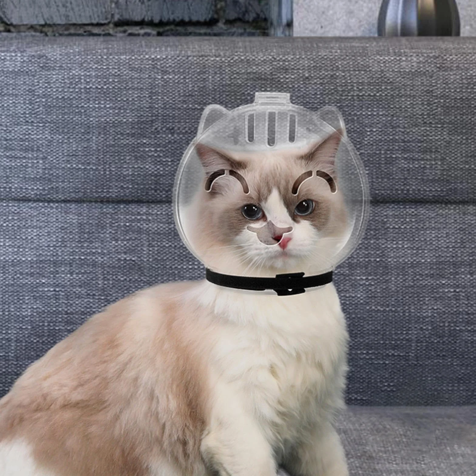 Capucha antilamer ajustable para gato LOVIVER, protección transparente para baño