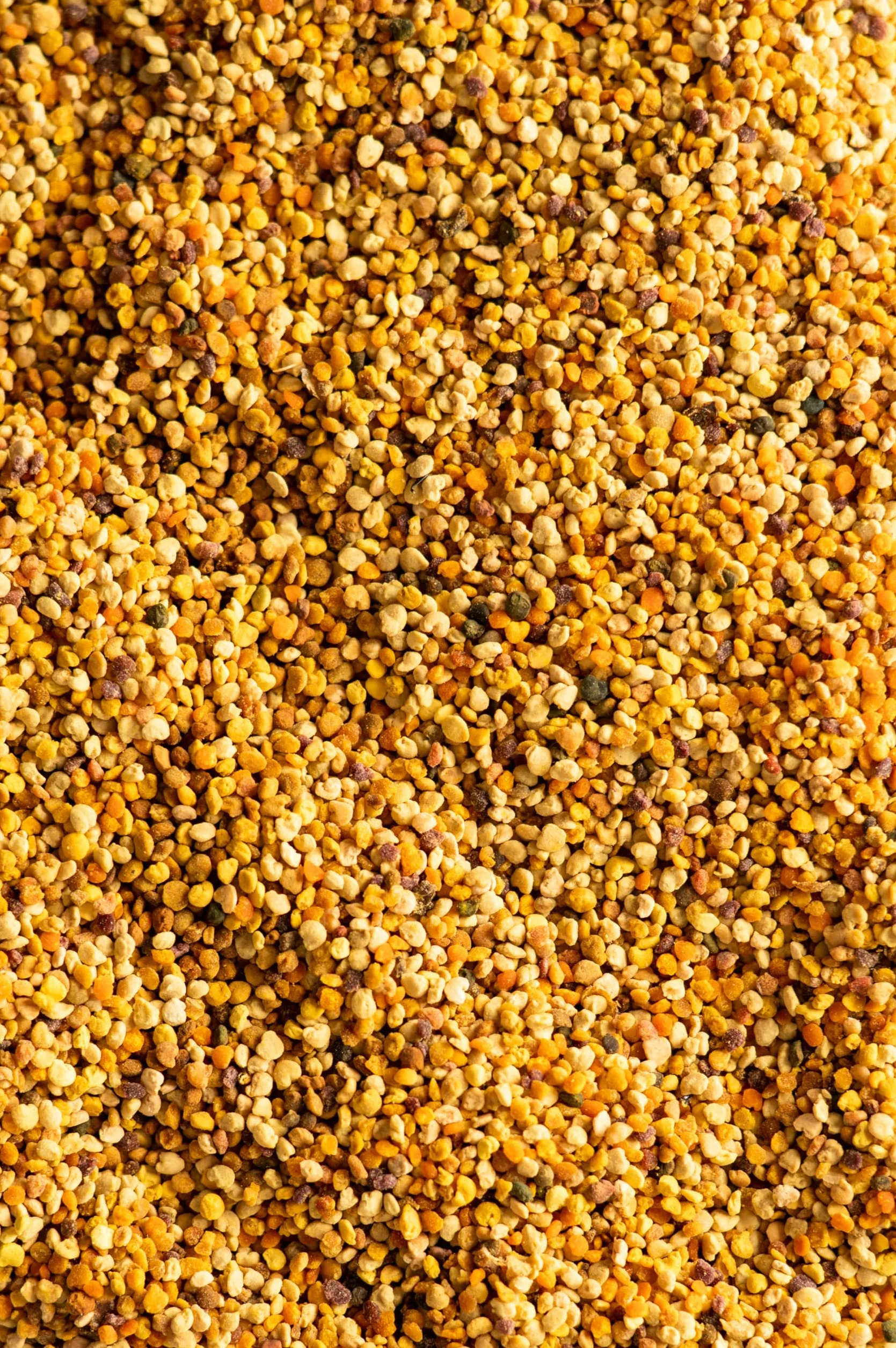 Biojoy Polen de Abeja Ecológico (500 g), Polen de Flores en Gránulos, Natural, Ideal para Comer