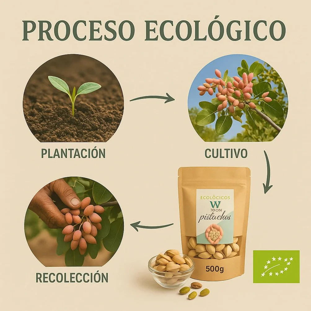 VENIO Pistachos 500g Tostados y Salados, Pistachos Naturales Ricos en Proteínas y Fibra, Pistacho Perfecto para Aperitivos, Ensaladas y Postres, Frutos Secos Naturales, Pistachio Saludable y Nutritivo