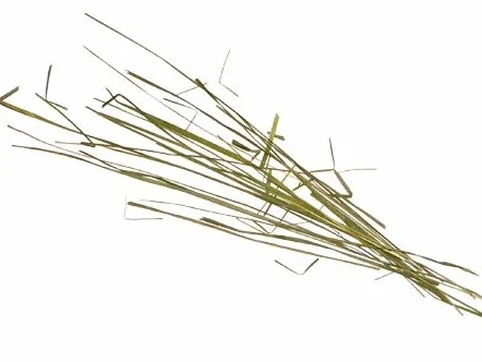 BISON GRASS 5L - Bison Vodka | Grass Vodka | Vodka Essence | Spirit Essences | Herbs by AlcoFermBrew