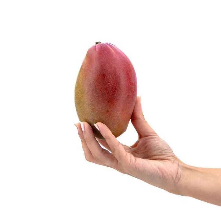 Mango Osteen 4kg La Parcela Origen España Andalucía Costa Tropical