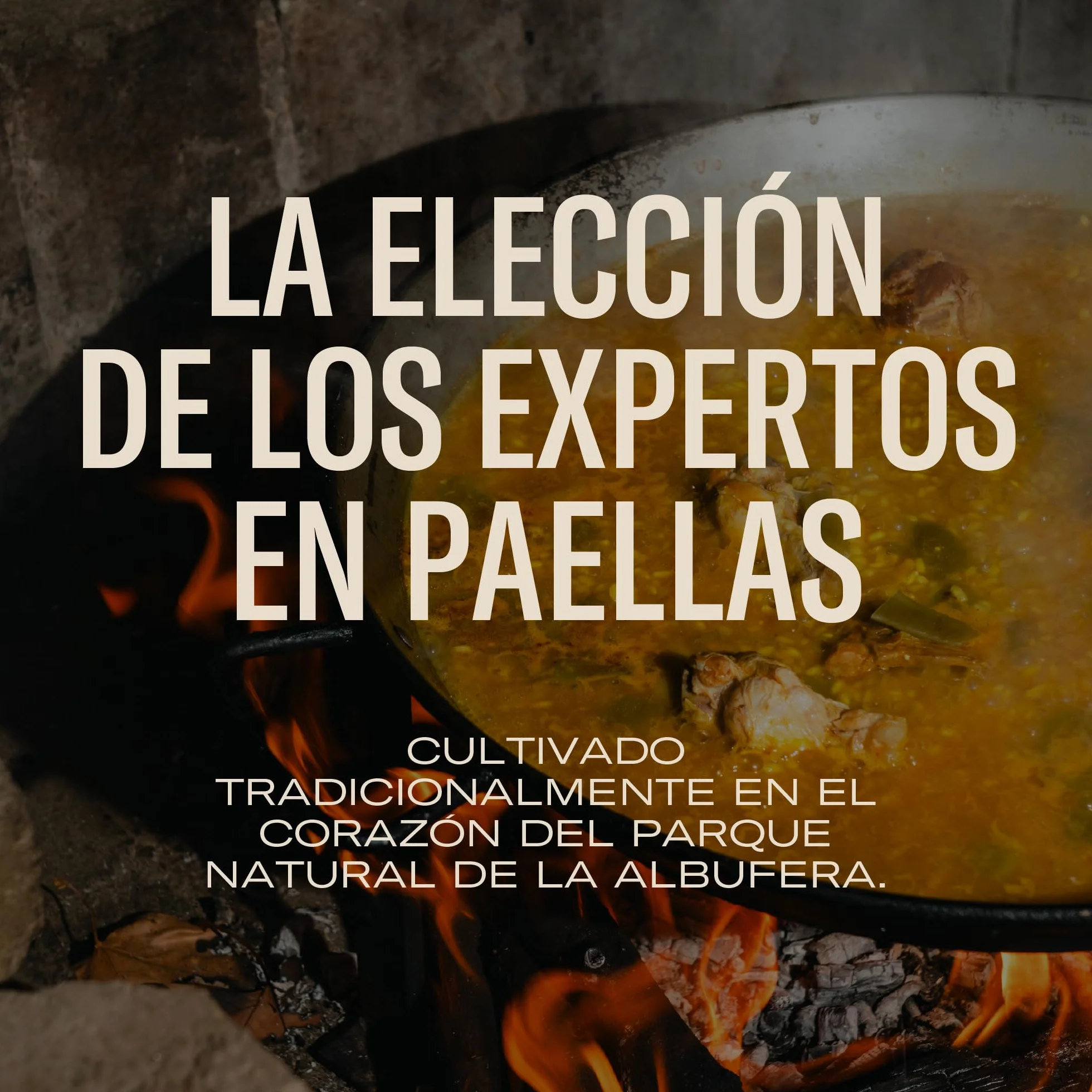 El PAELLER - Arroz J. Sendra D.O. Valencia | Máxima Absorción de Sabor para Paellas y Arroces Melosos | Pack de 3 uds. de 1 kg