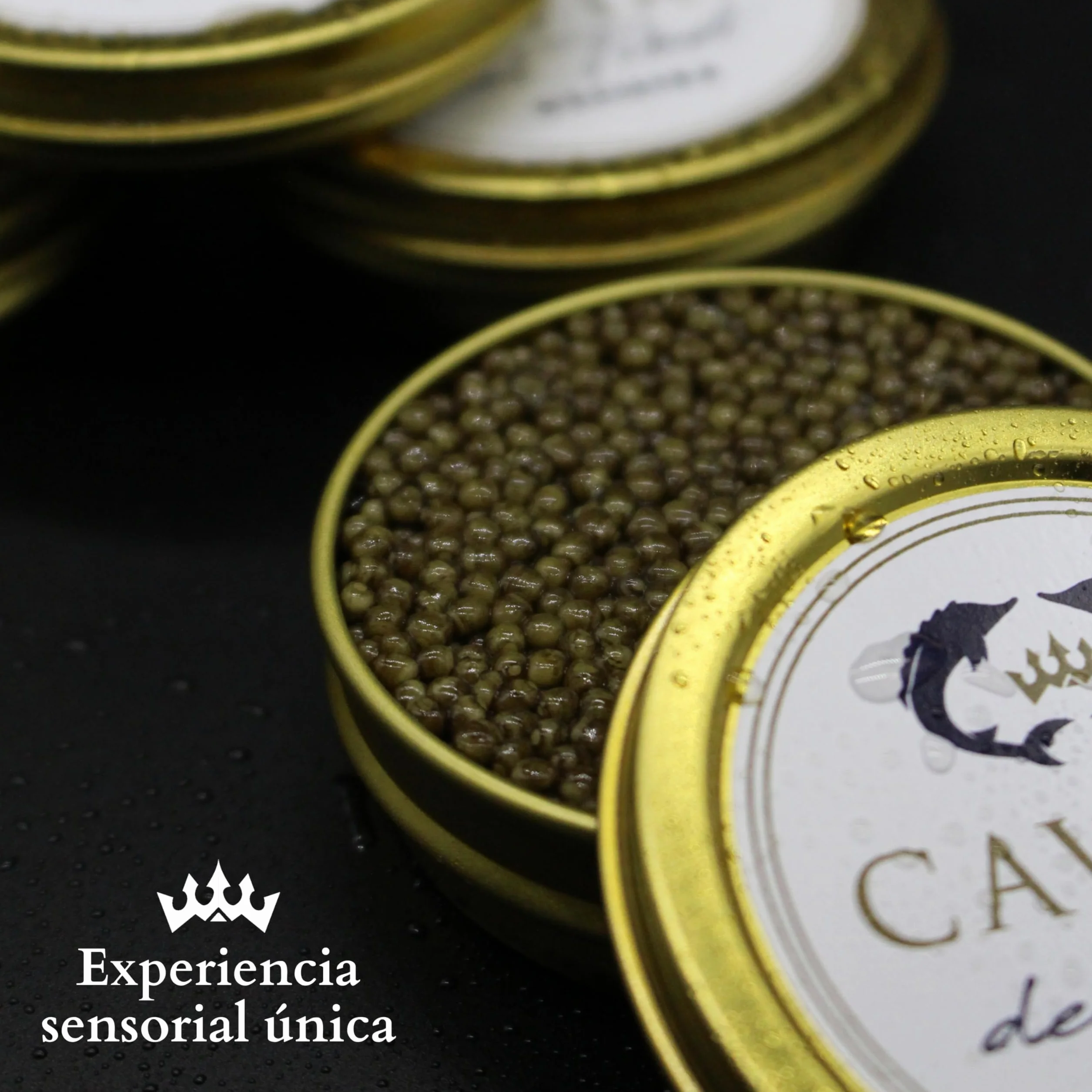 Caviar del Tíbet – Caviar Oscietra 100 GR – Caviar de Esturión Ascipenser Gueldenstaedtii – Huevas de Caviar – Caviar Gourmet