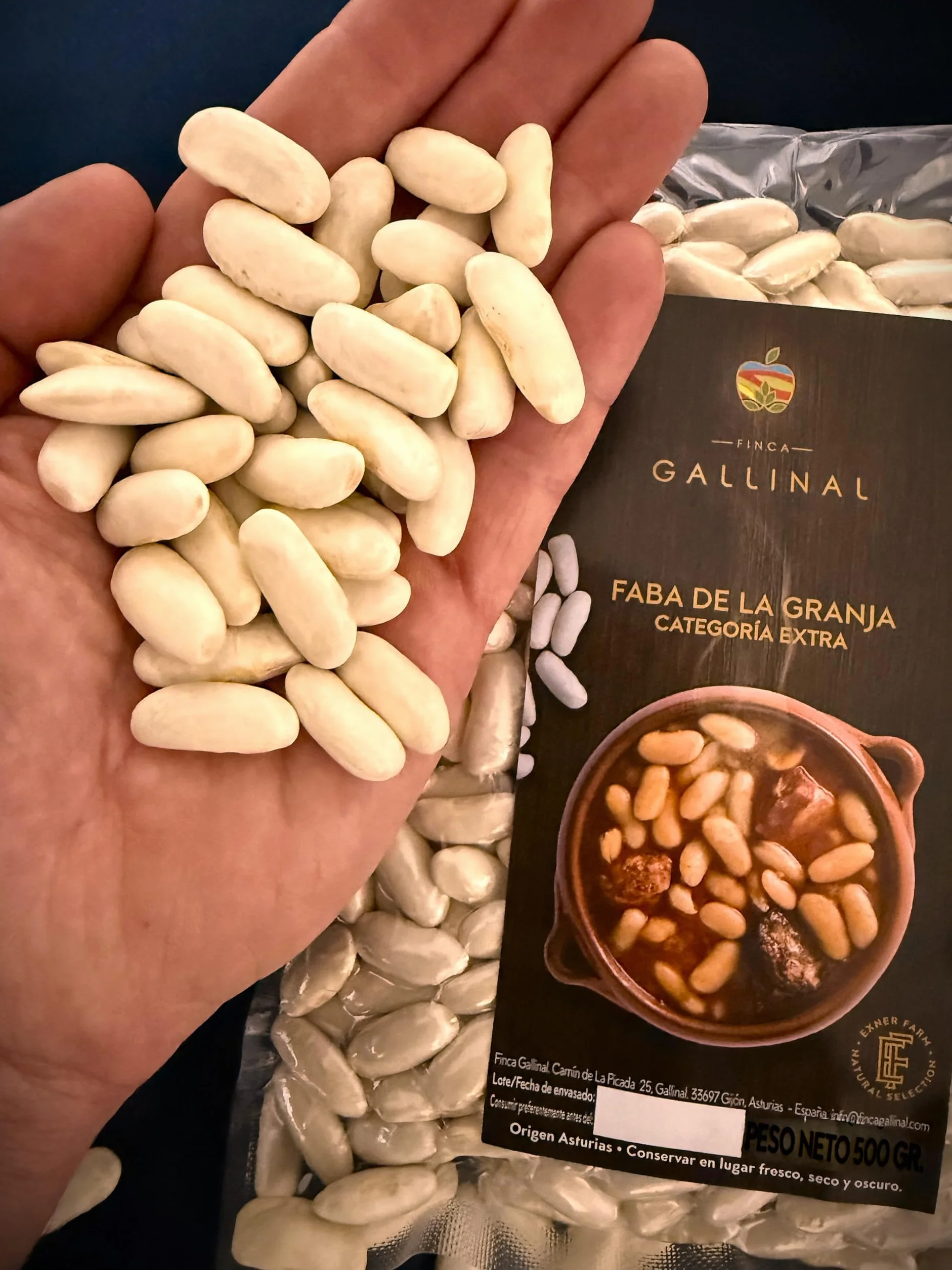 Fabas Categoría Extra – Origen Asturias | Faba de la granja | Finca Gallinal | Cultivo Propio | Alubia Blanca Gourmet para Fabada Asturiana | Selección Premium | Paquete de 1 Kg