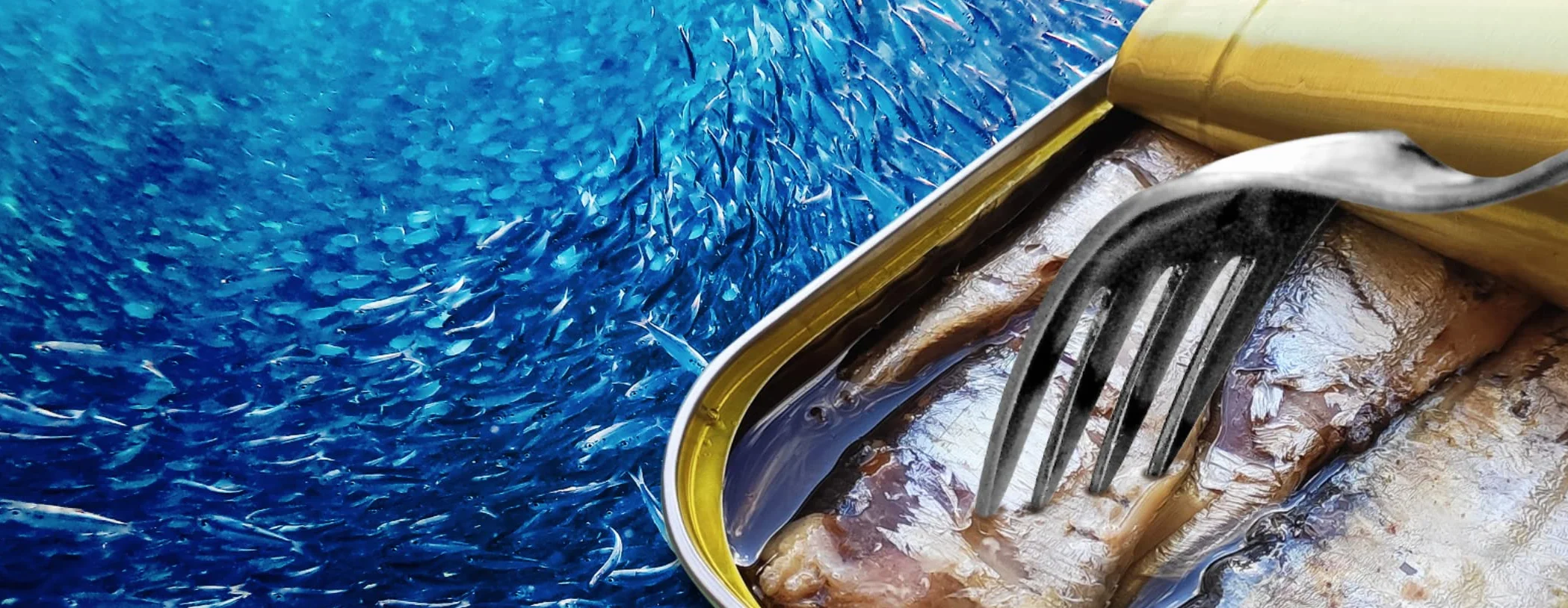 SARDINAS PICANTES CON ACEITE DE OLIVA 100 GR